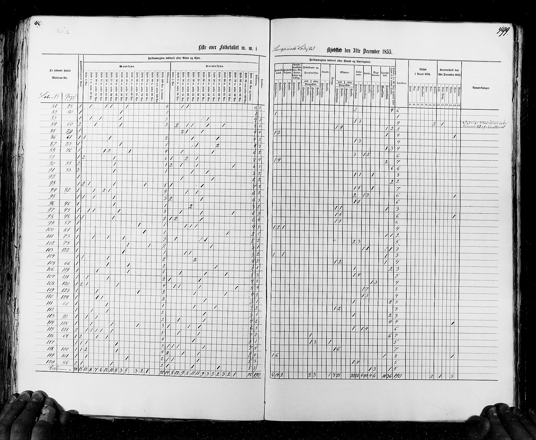 RA, Census 1855, vol. 7: Fredrikshald-Kragerø, 1855, p. 499