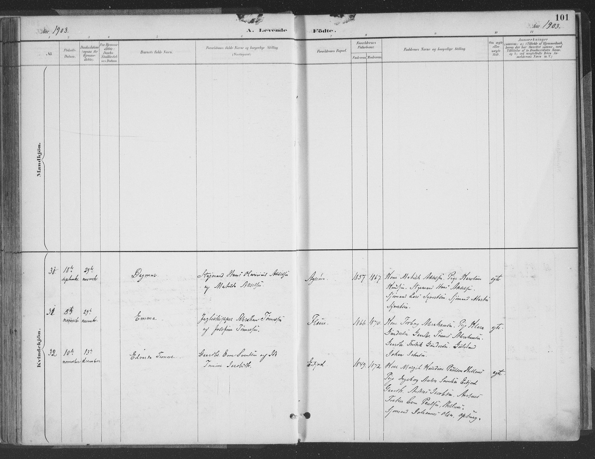 Høvåg sokneprestkontor, AV/SAK-1111-0025/F/Fa/L0006: Parish register (official) no. A 6, 1894-1923, p. 101