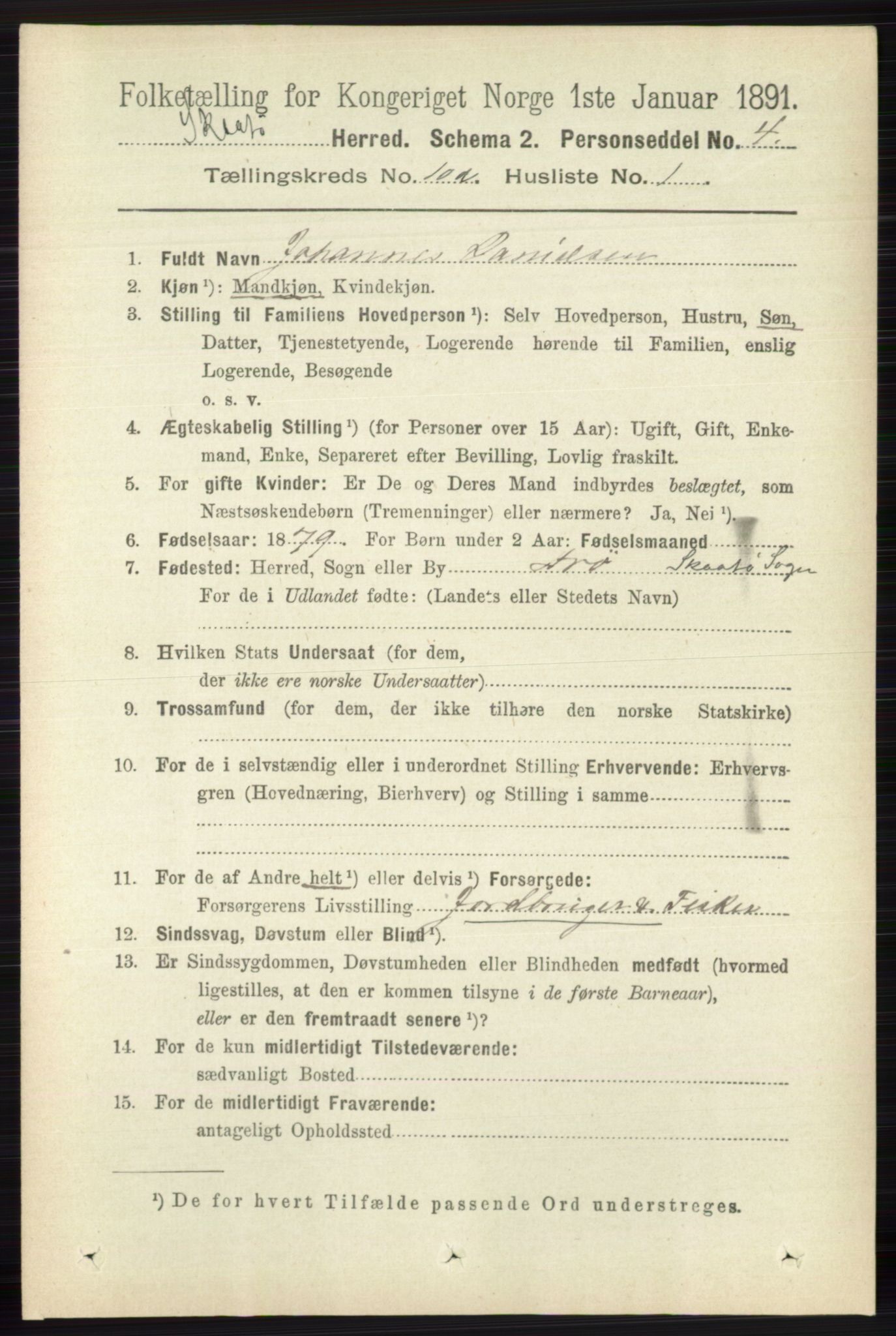 RA, 1891 census for 0815 Skåtøy, 1891, p. 4035