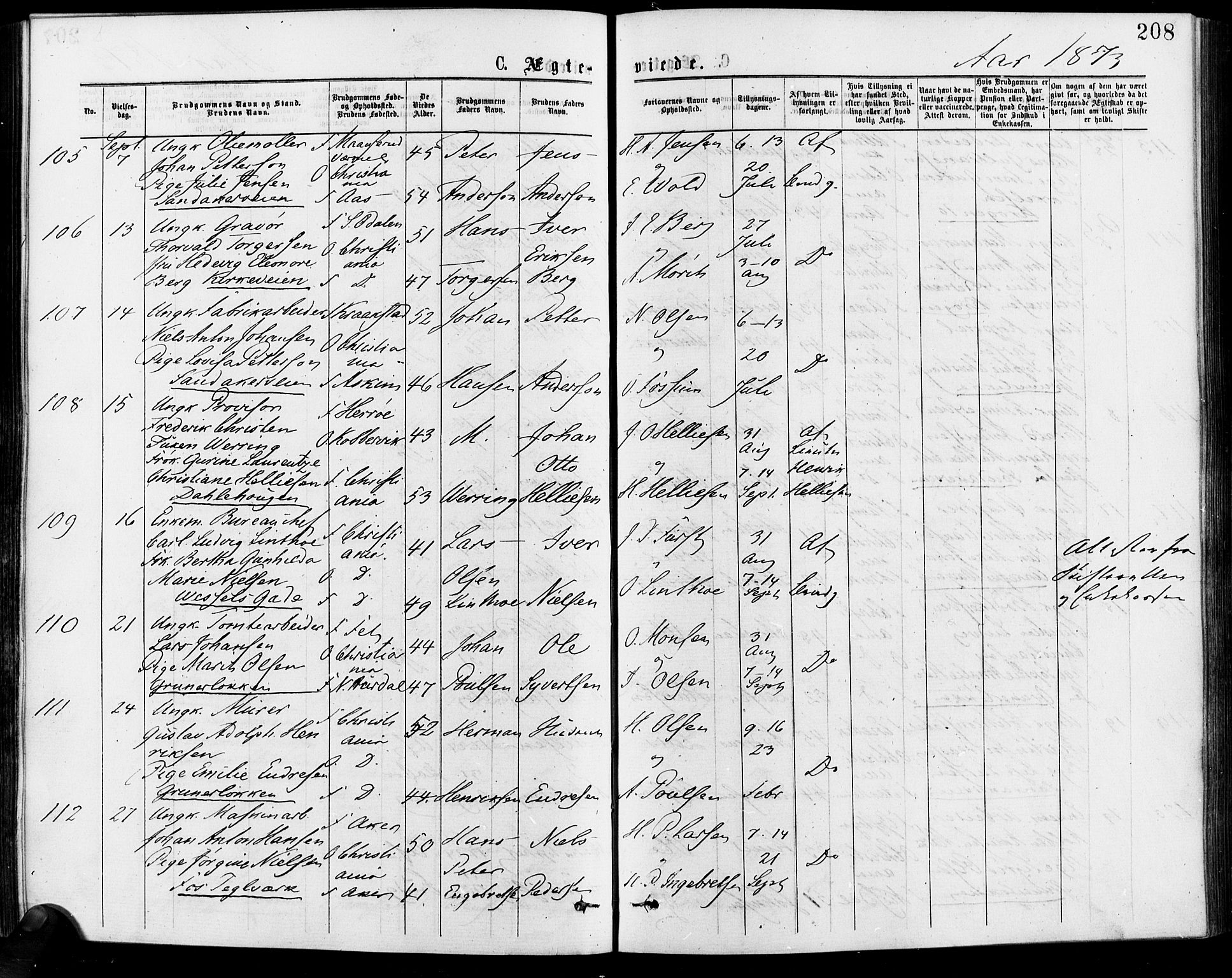 Gamle Aker prestekontor Kirkebøker, SAO/A-10617a/F/L0005: Parish register (official) no. 5, 1873-1881, p. 208