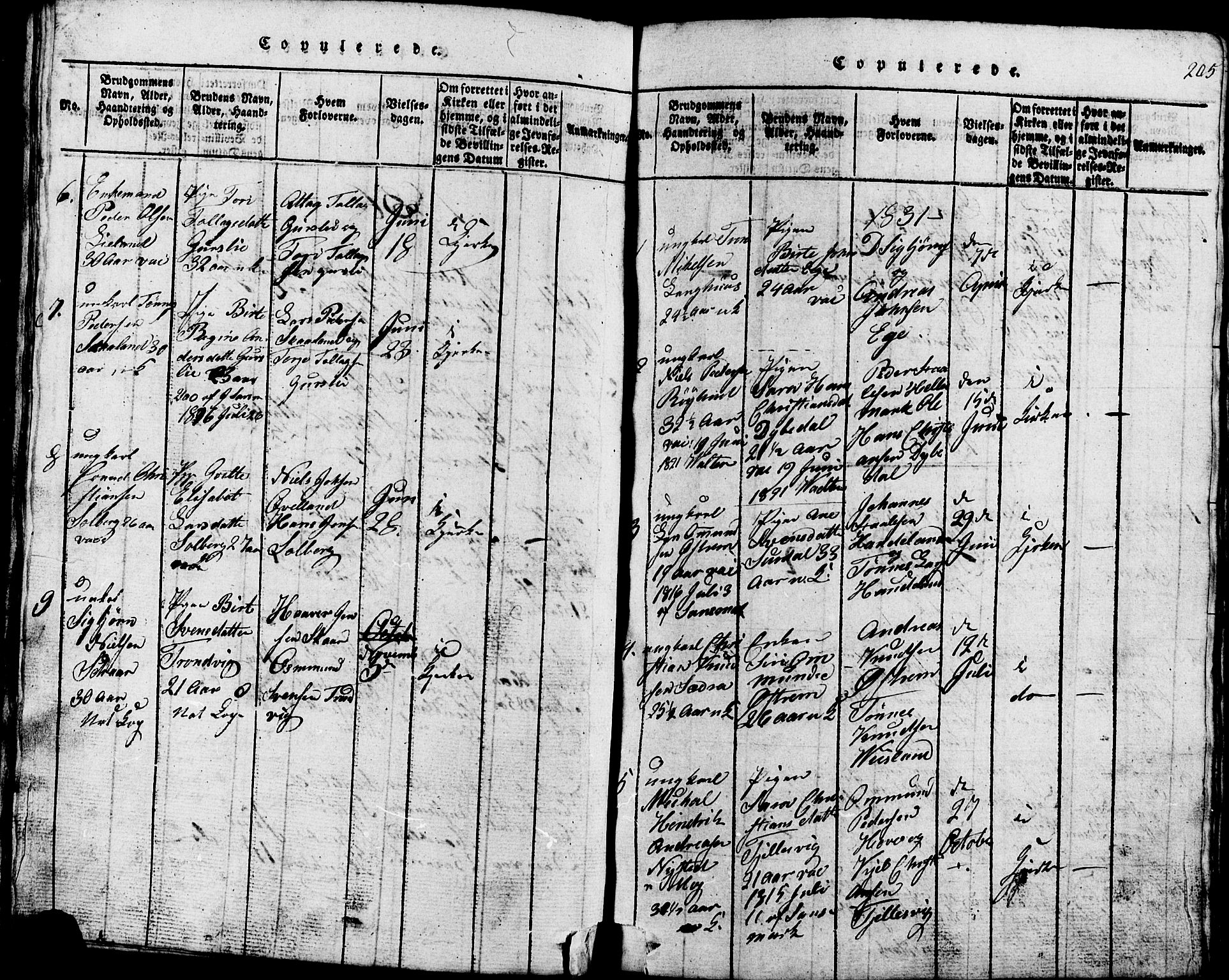 Lund sokneprestkontor, SAST/A-101809/S07/L0002: Parish register (copy) no. B 2, 1816-1832, p. 205
