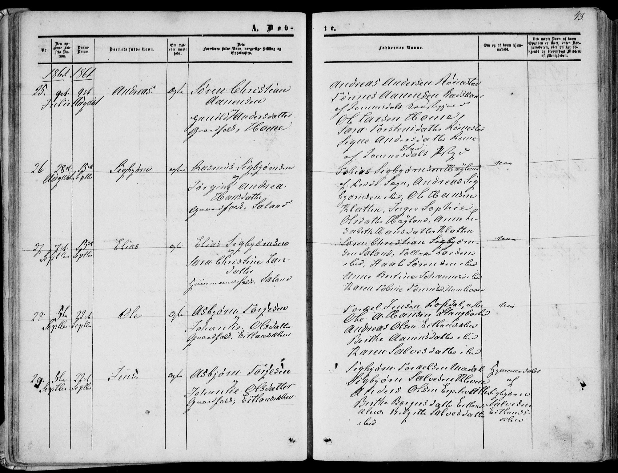 Bakke sokneprestkontor, AV/SAK-1111-0002/F/Fa/Fab/L0002: Parish register (official) no. A 2, 1855-1884, p. 43