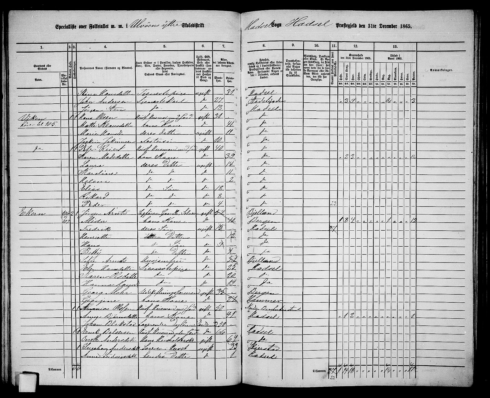 RA, 1865 census for Hadsel, 1865, p. 104