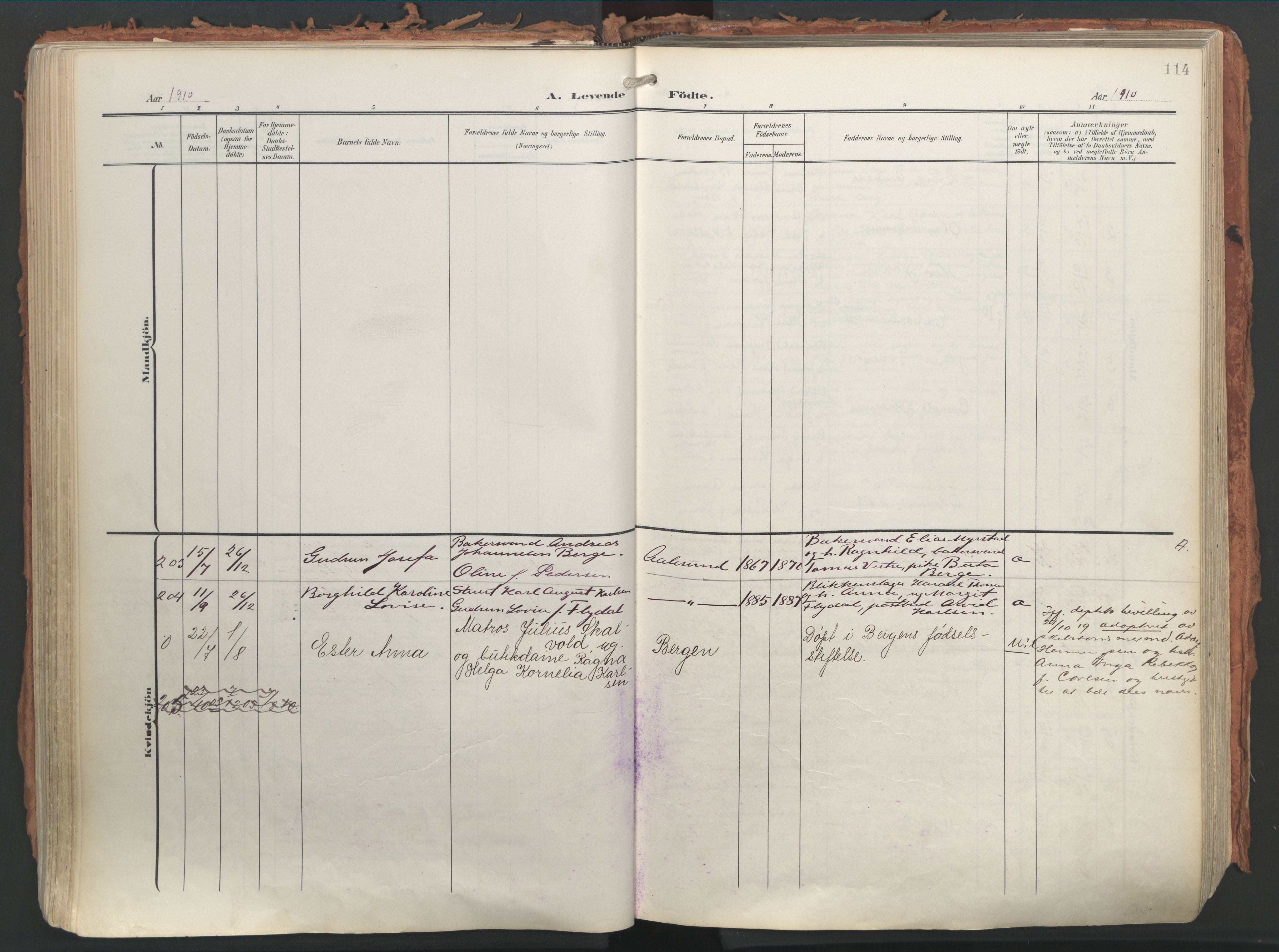 Ministerialprotokoller, klokkerbøker og fødselsregistre - Møre og Romsdal, AV/SAT-A-1454/529/L0460: Parish register (official) no. 529A10, 1906-1917, p. 114