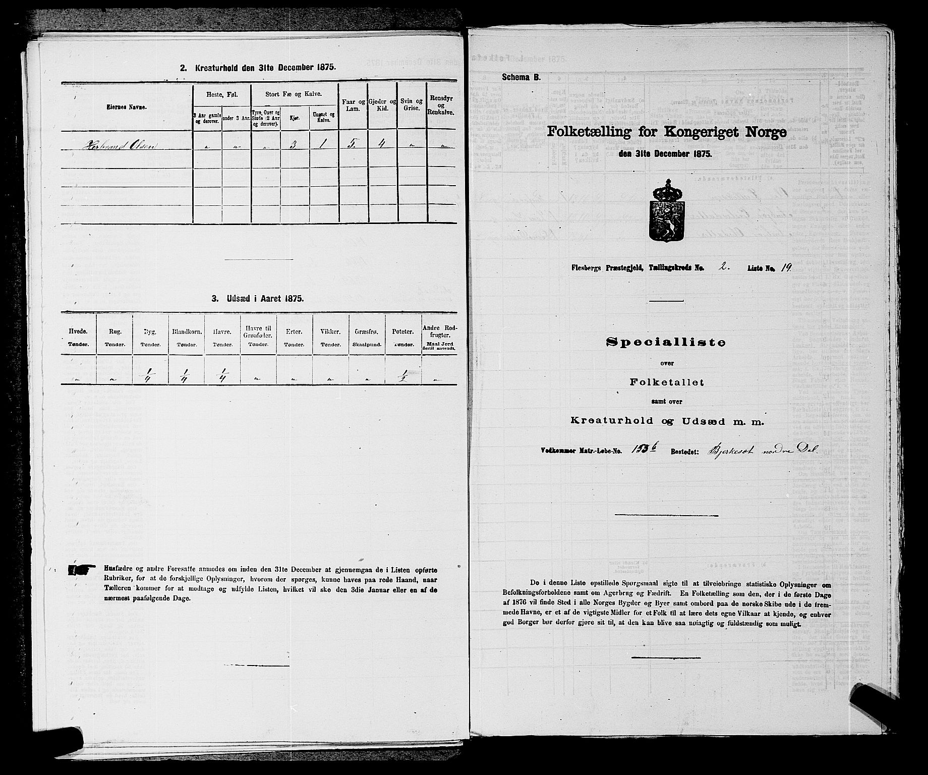 SAKO, 1875 census for 0631P Flesberg, 1875, p. 517