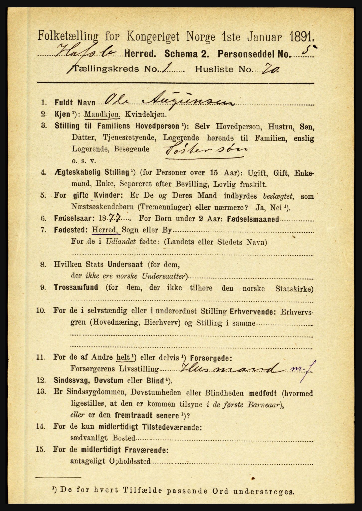 RA, 1891 census for 1425 Hafslo, 1891, p. 475