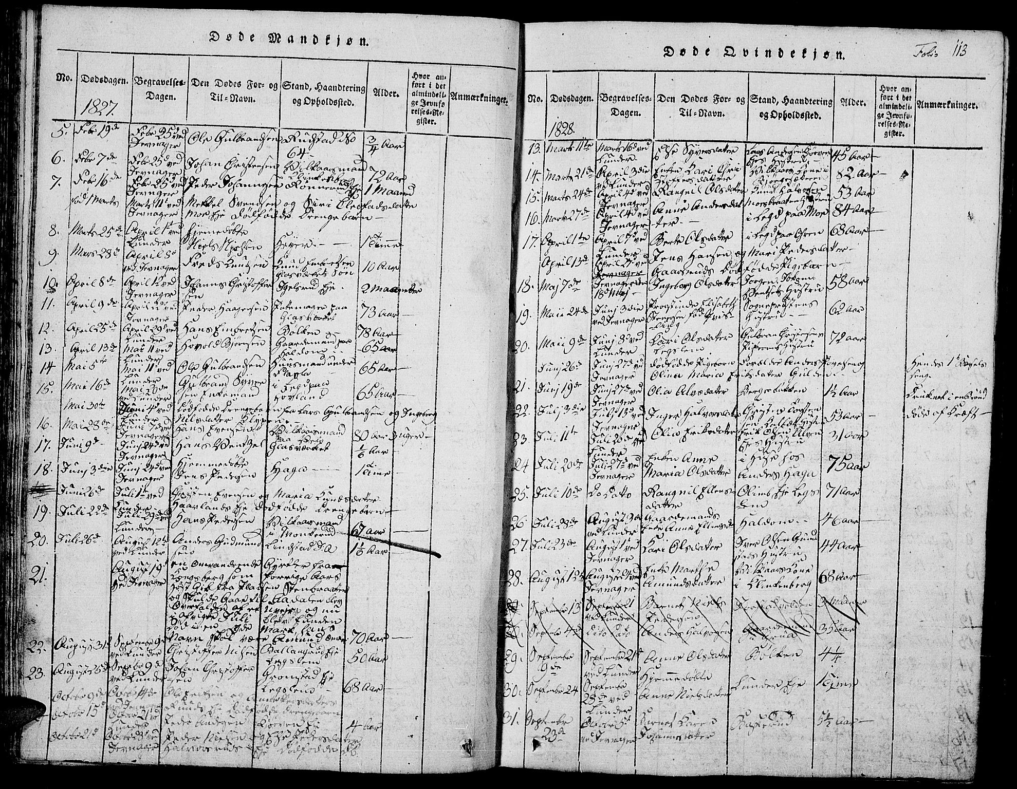 Jevnaker prestekontor, SAH/PREST-116/H/Ha/Hab/L0001: Parish register (copy) no. 1, 1815-1837, p. 113