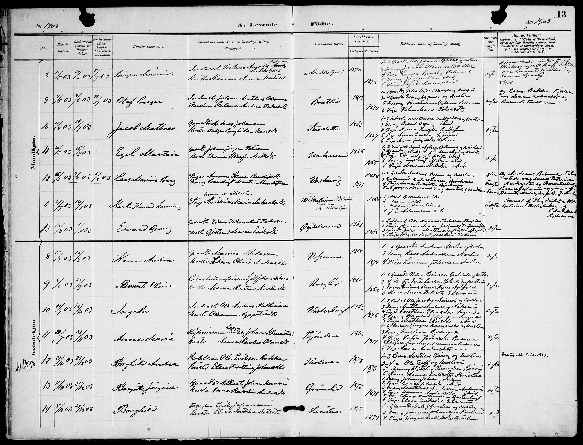 Ministerialprotokoller, klokkerbøker og fødselsregistre - Nordland, AV/SAT-A-1459/823/L0326: Parish register (official) no. 823A03, 1899-1919, p. 13