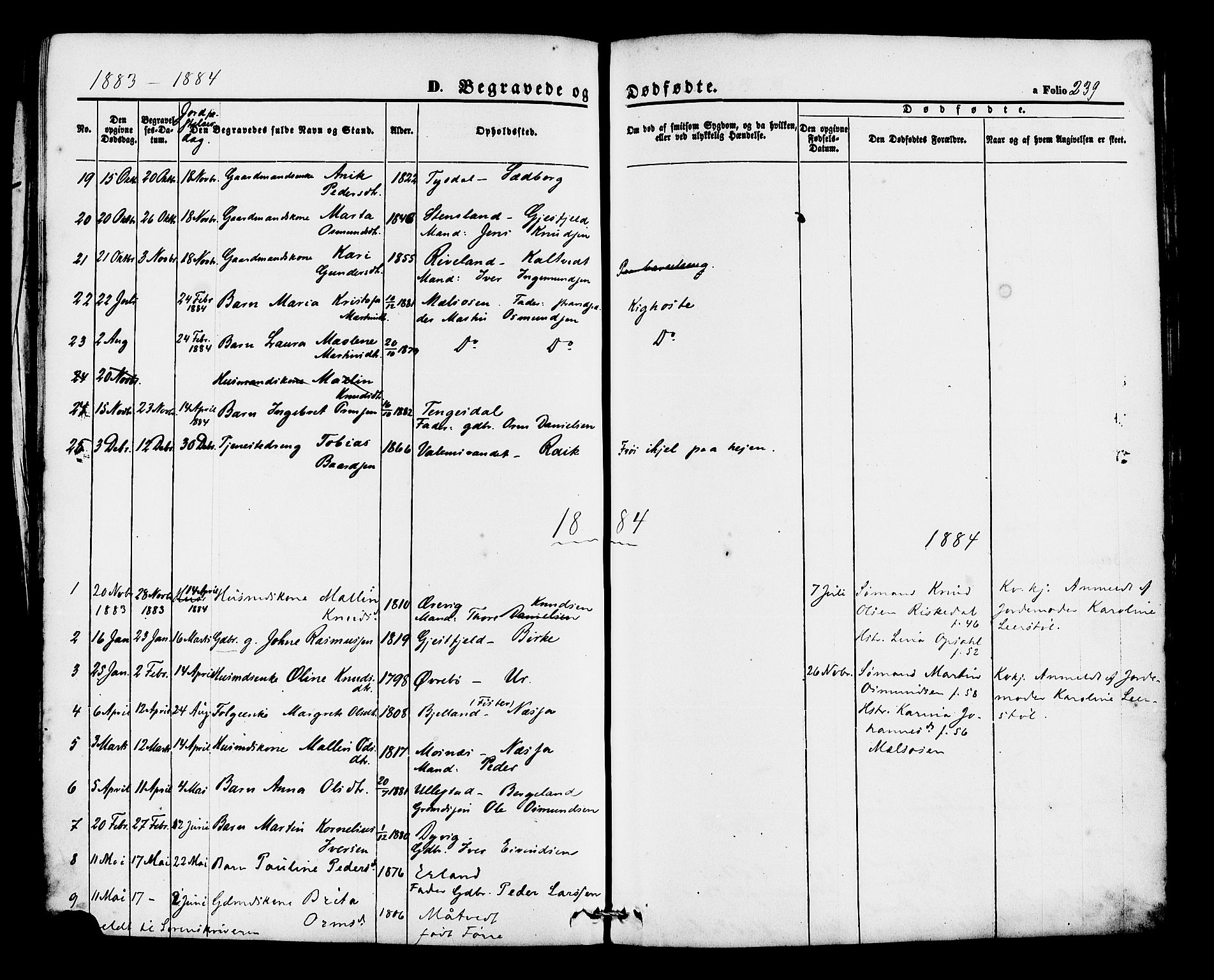 Hjelmeland sokneprestkontor, AV/SAST-A-101843/01/IV/L0012: Parish register (official) no. A 12, 1862-1886, p. 239