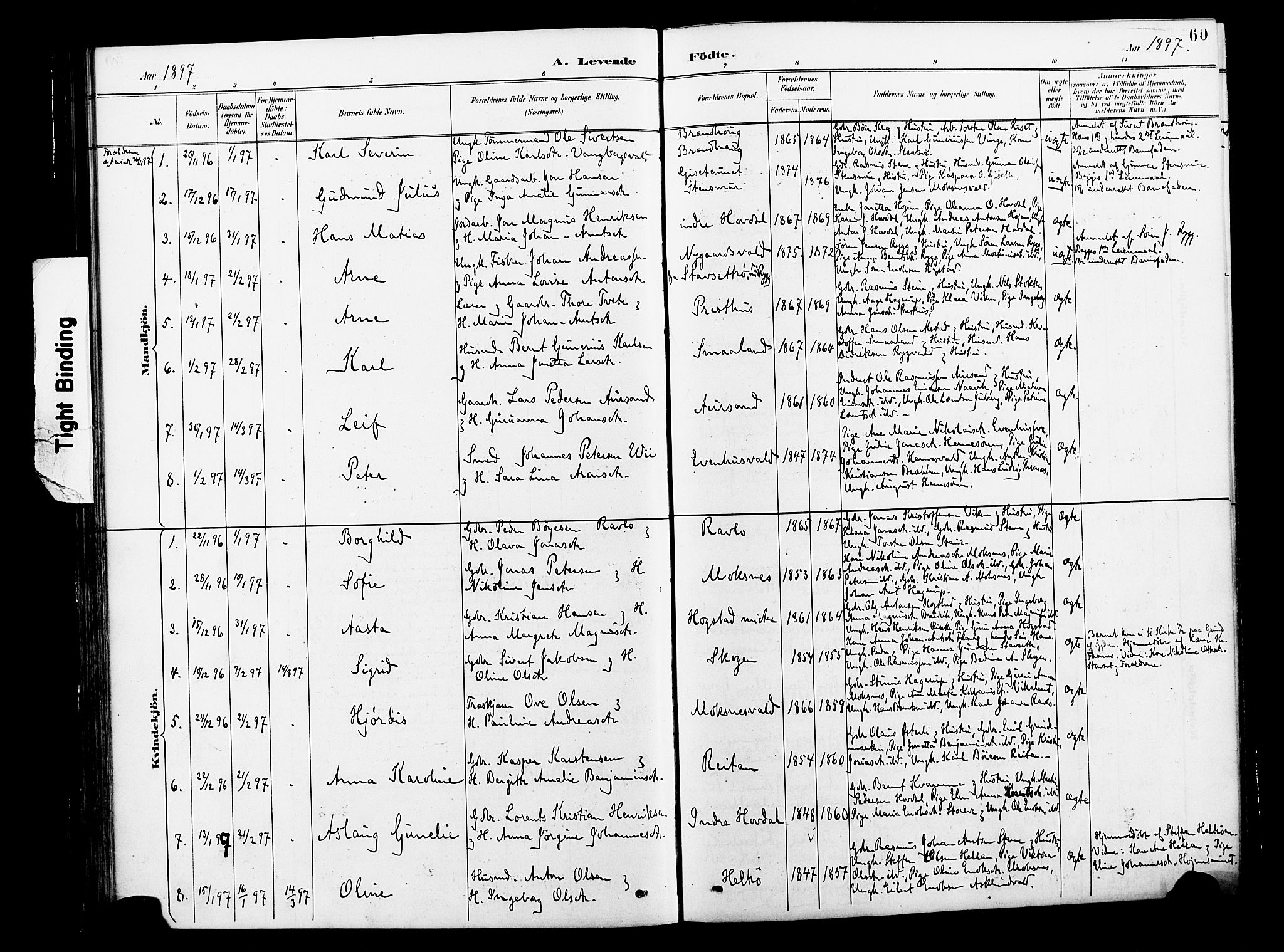 Ministerialprotokoller, klokkerbøker og fødselsregistre - Nord-Trøndelag, AV/SAT-A-1458/713/L0121: Parish register (official) no. 713A10, 1888-1898, p. 60