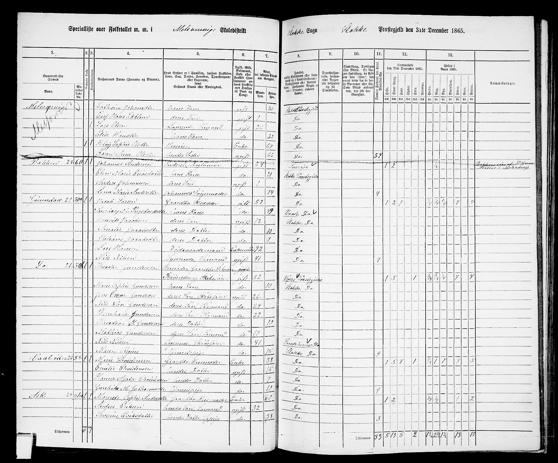 RA, 1865 census for Stokke, 1865, p. 51