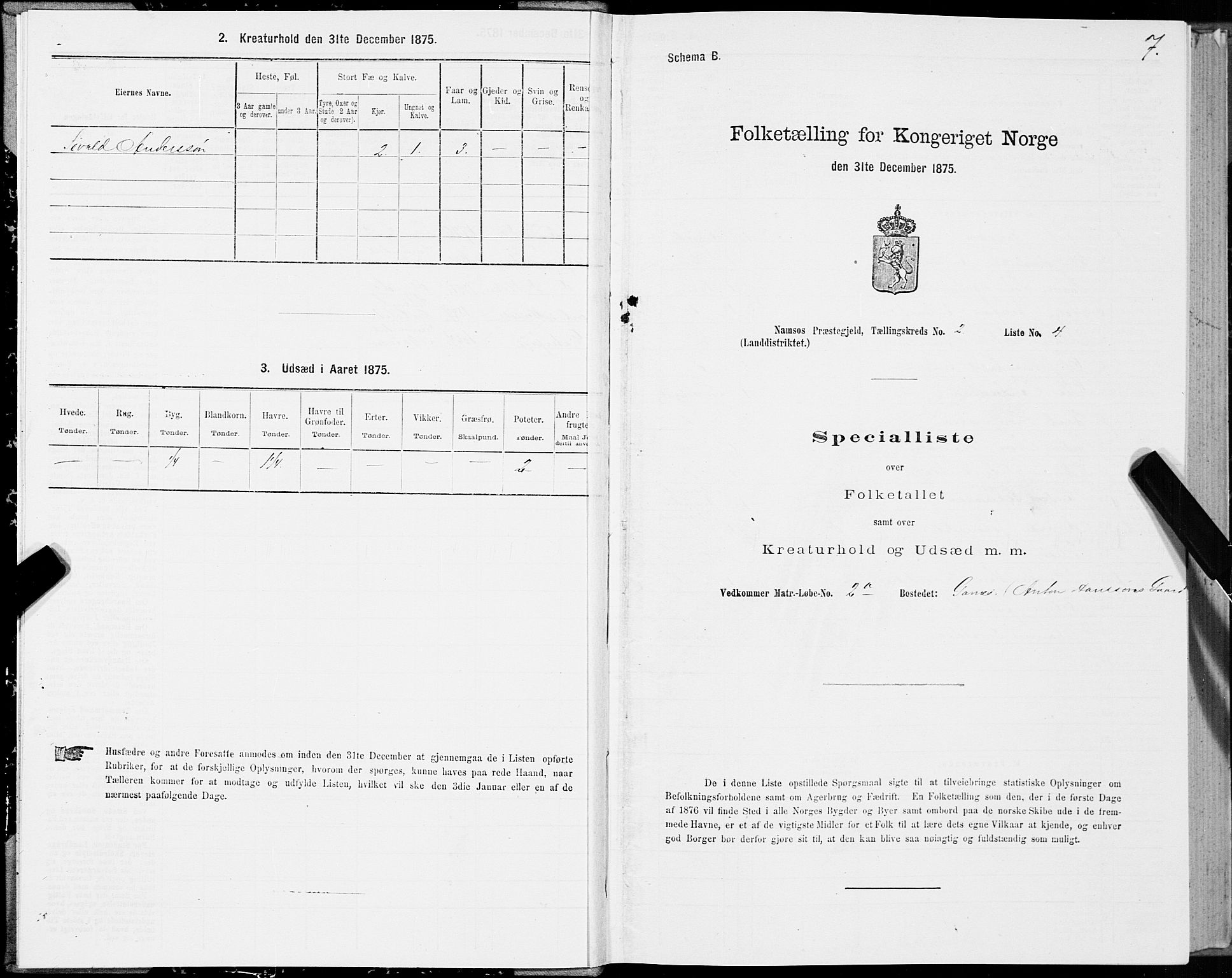 SAT, 1875 census for 1745L Namsos/Vemundvik og Sævik, 1875, p. 2007