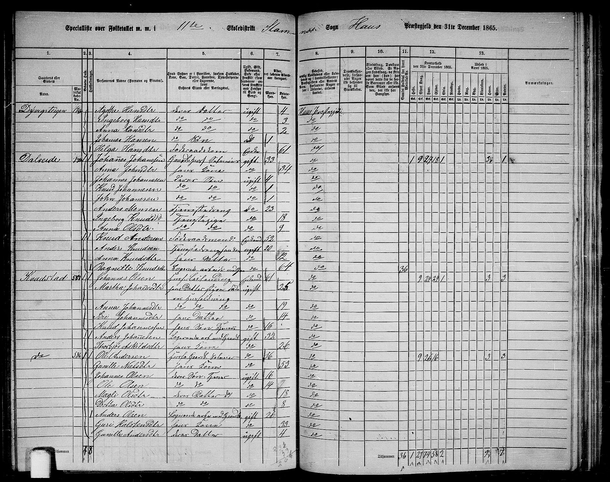 RA, 1865 census for Haus, 1865, p. 223
