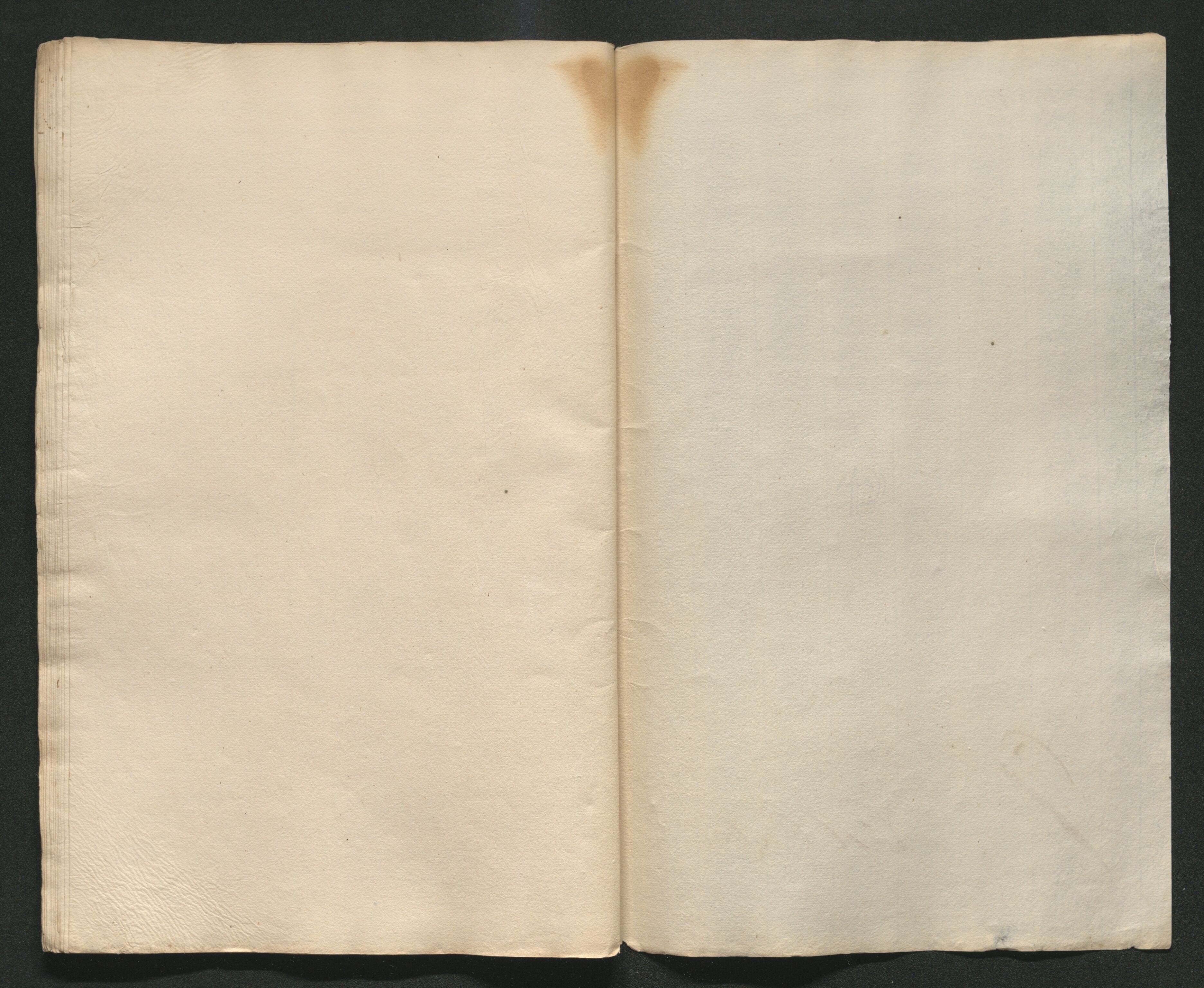 Larvik grevskap, AV/SAKO-A-1056/F/Ff/Ffa/L0001: Ruller og manntall, 1708-1734, p. 221