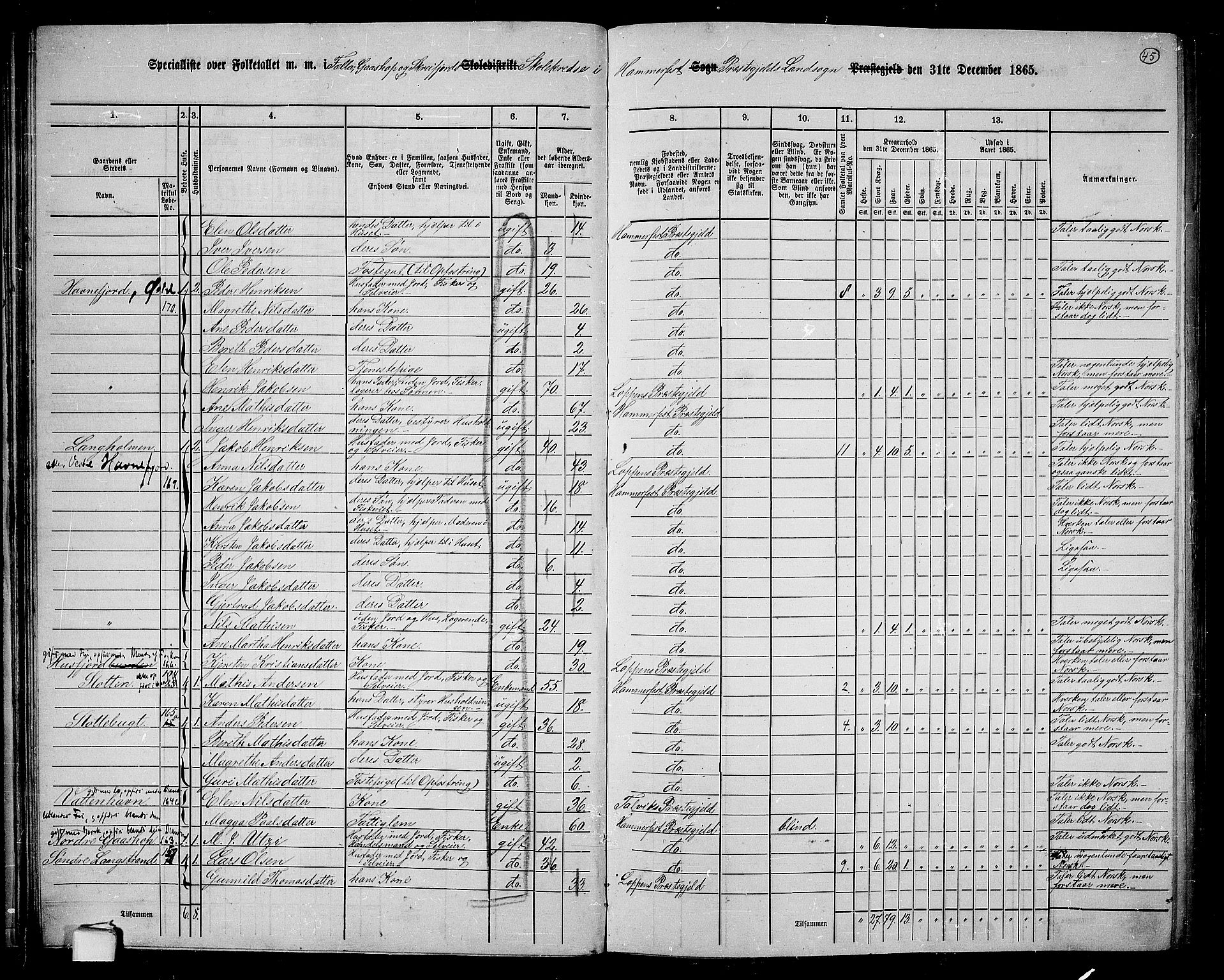 RA, 1865 census for Hammerfest/Hammerfest, 1865, p. 43