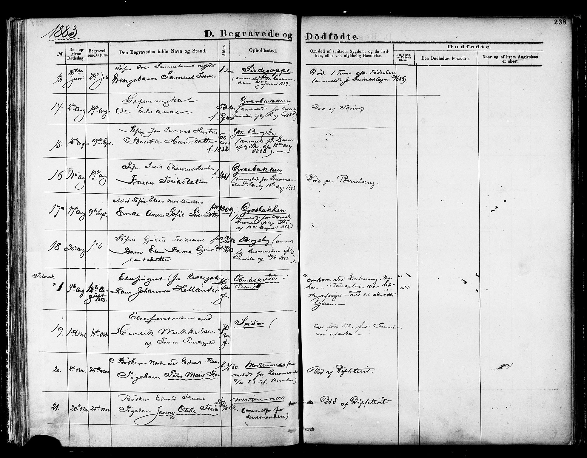 Nesseby sokneprestkontor, AV/SATØ-S-1330/H/Ha/L0004kirke: Parish register (official) no. 4, 1877-1884, p. 238