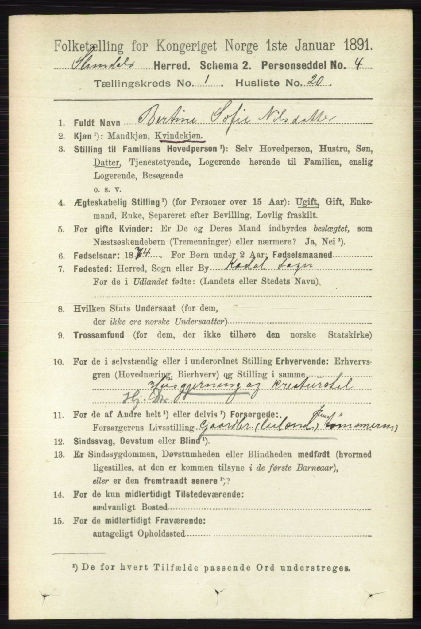 RA, 1891 census for 0811 Slemdal, 1891, p. 173