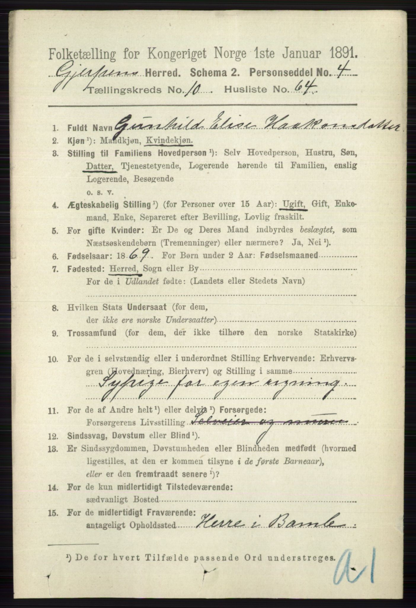 RA, 1891 census for 0812 Gjerpen, 1891, p. 6496