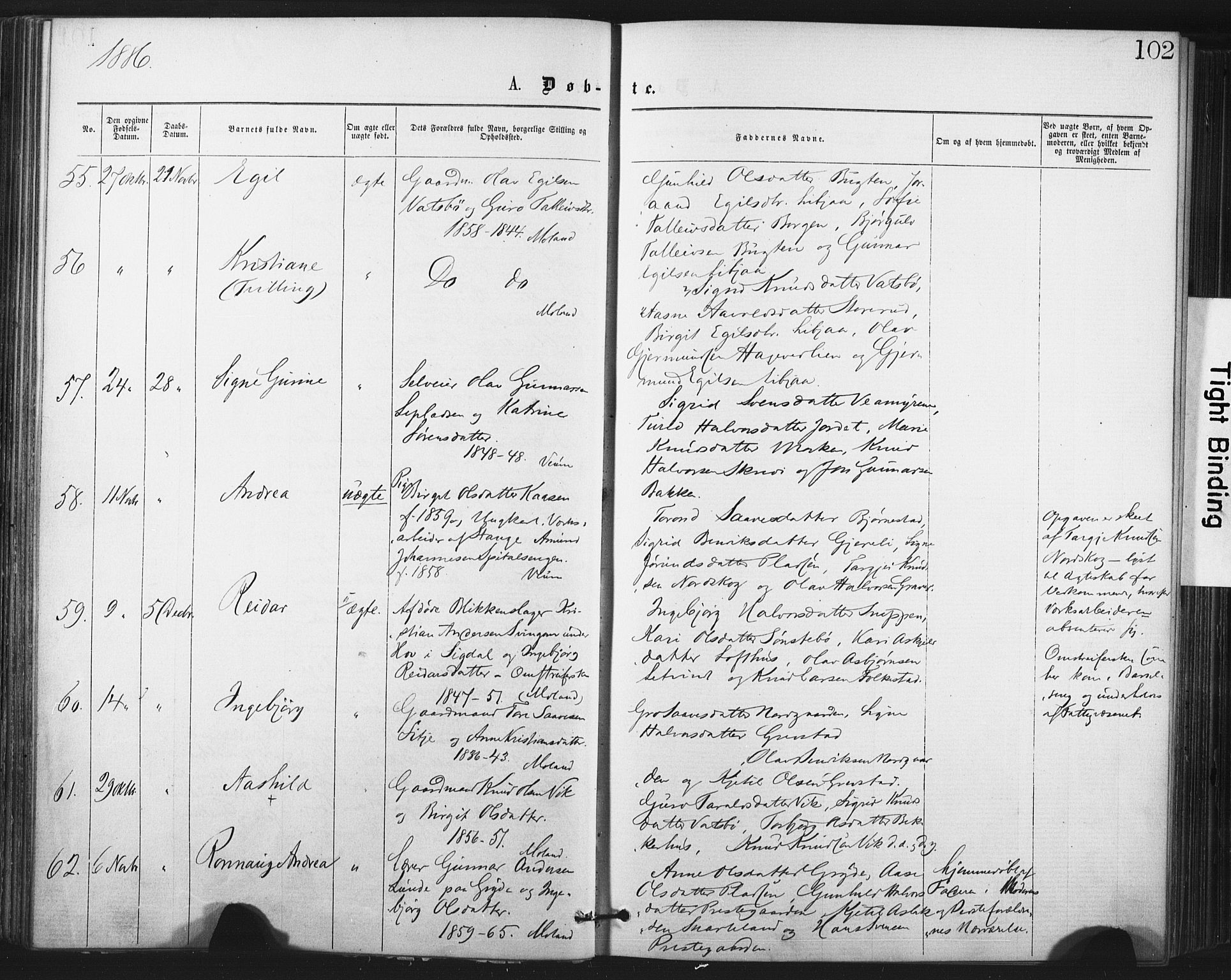 Fyresdal kirkebøker, SAKO/A-263/F/Fa/L0006: Parish register (official) no. I 6, 1872-1886, p. 102