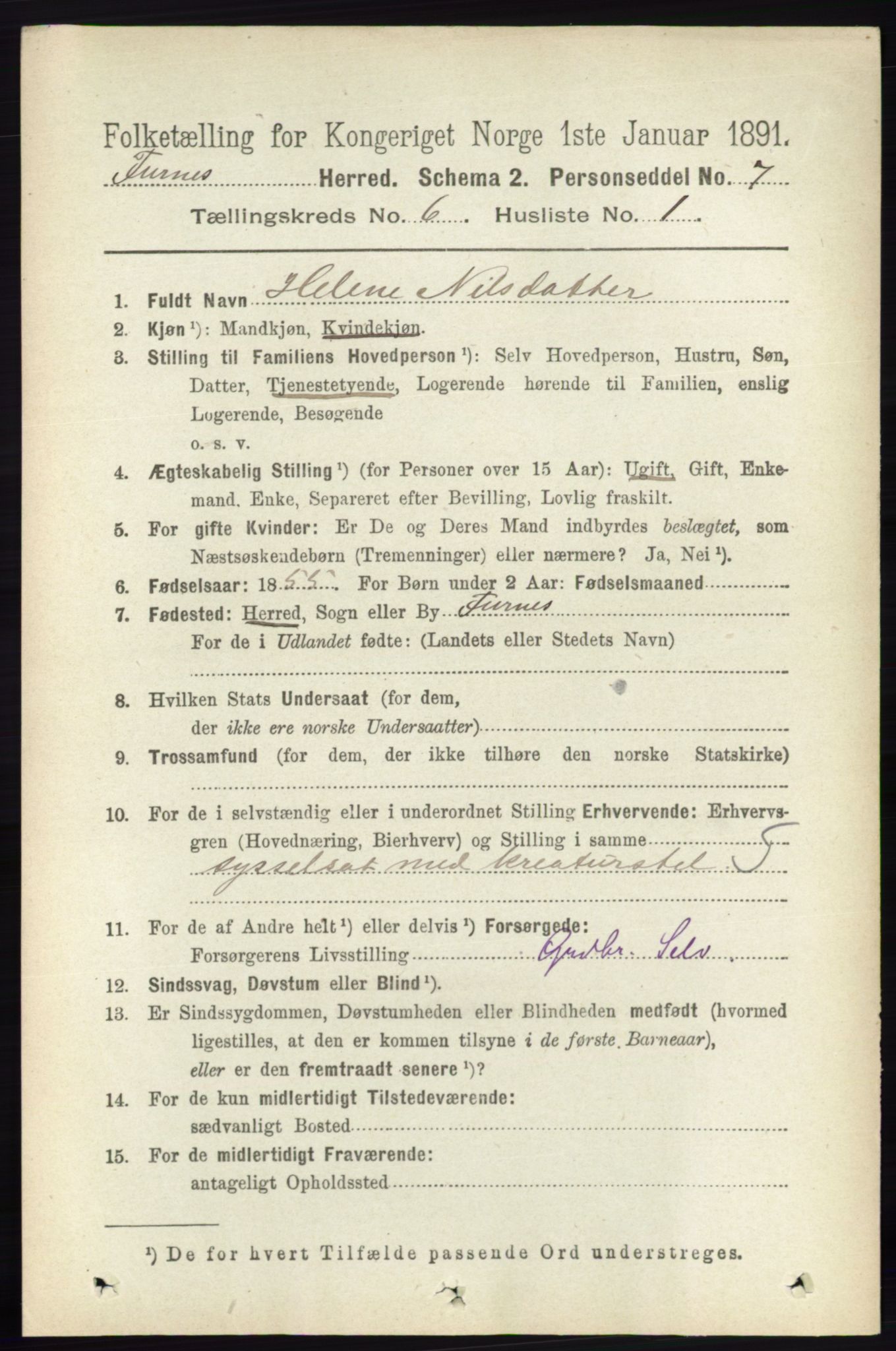 RA, Census 1891 for 0413 Furnes herred, 1891, p. 4166