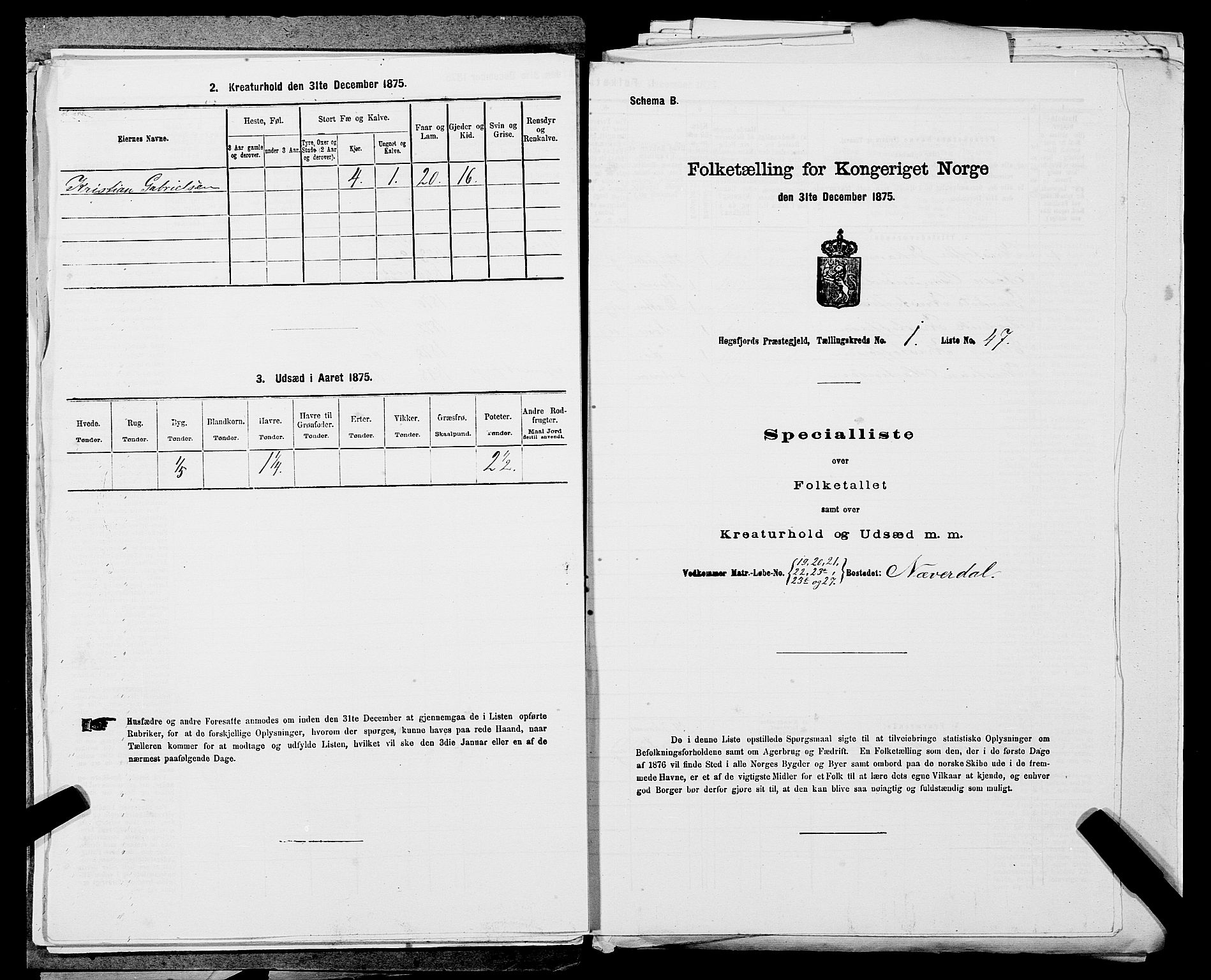 SAST, 1875 census for 1128P Høgsfjord, 1875, p. 162