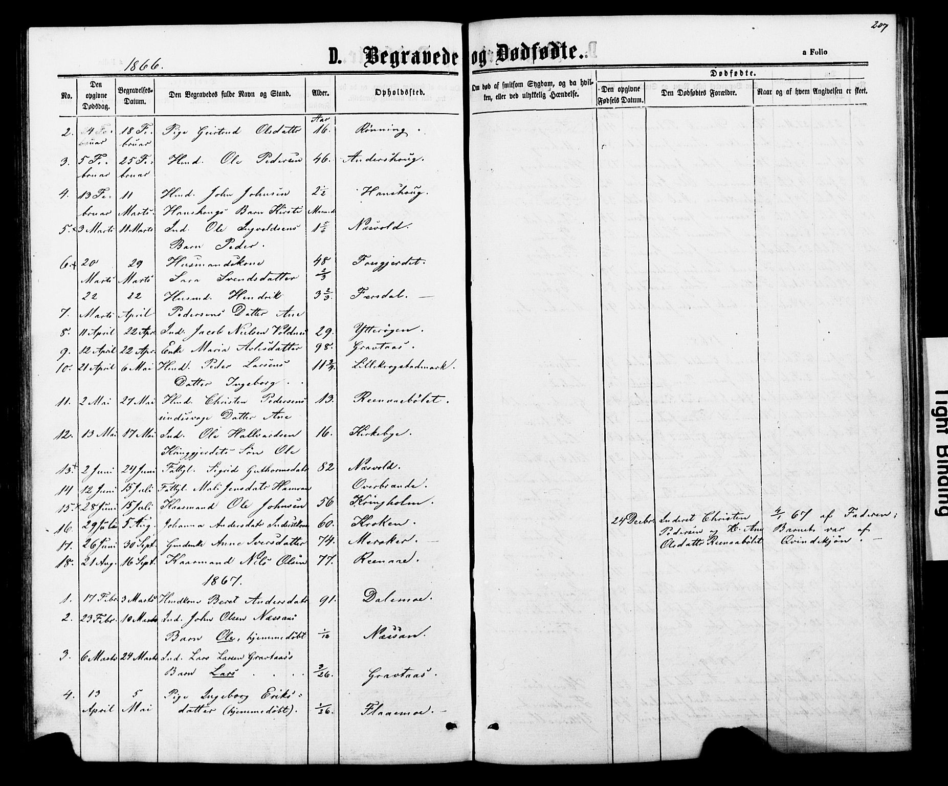 Ministerialprotokoller, klokkerbøker og fødselsregistre - Nord-Trøndelag, AV/SAT-A-1458/706/L0049: Parish register (copy) no. 706C01, 1864-1895, p. 207