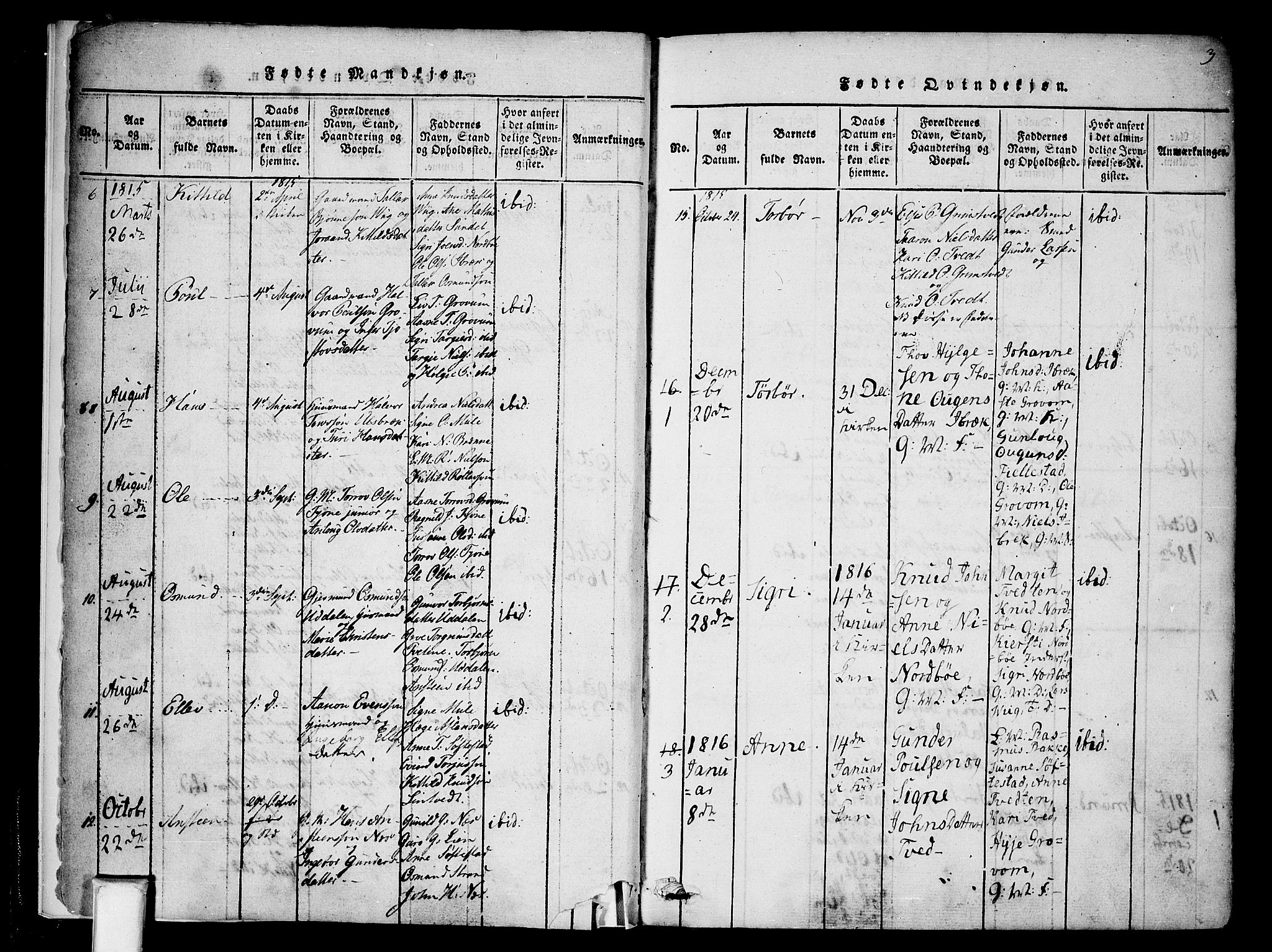 Nissedal kirkebøker, AV/SAKO-A-288/F/Fa/L0002: Parish register (official) no. I 2, 1814-1845, p. 3