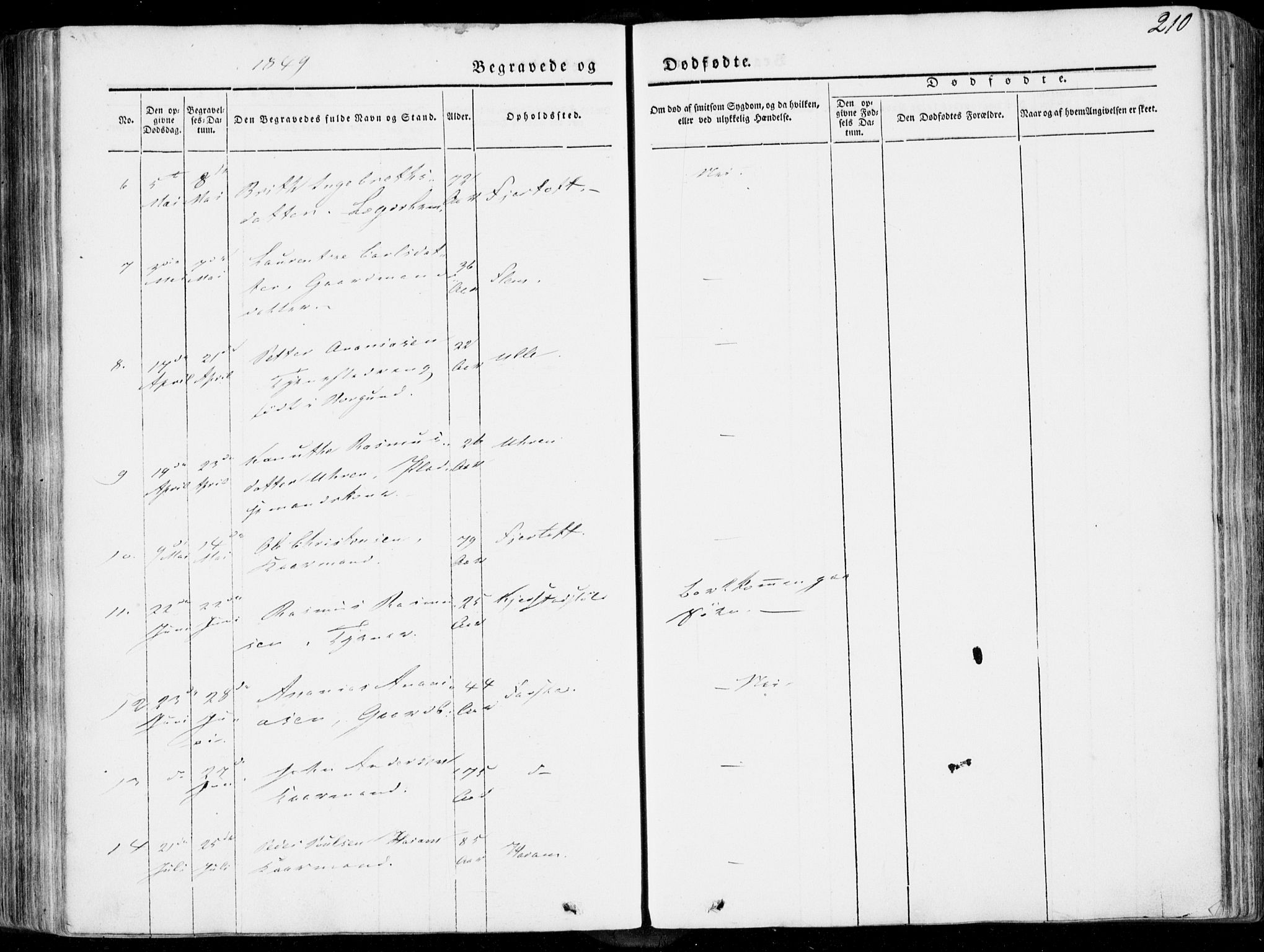 Ministerialprotokoller, klokkerbøker og fødselsregistre - Møre og Romsdal, AV/SAT-A-1454/536/L0497: Parish register (official) no. 536A06, 1845-1865, p. 210