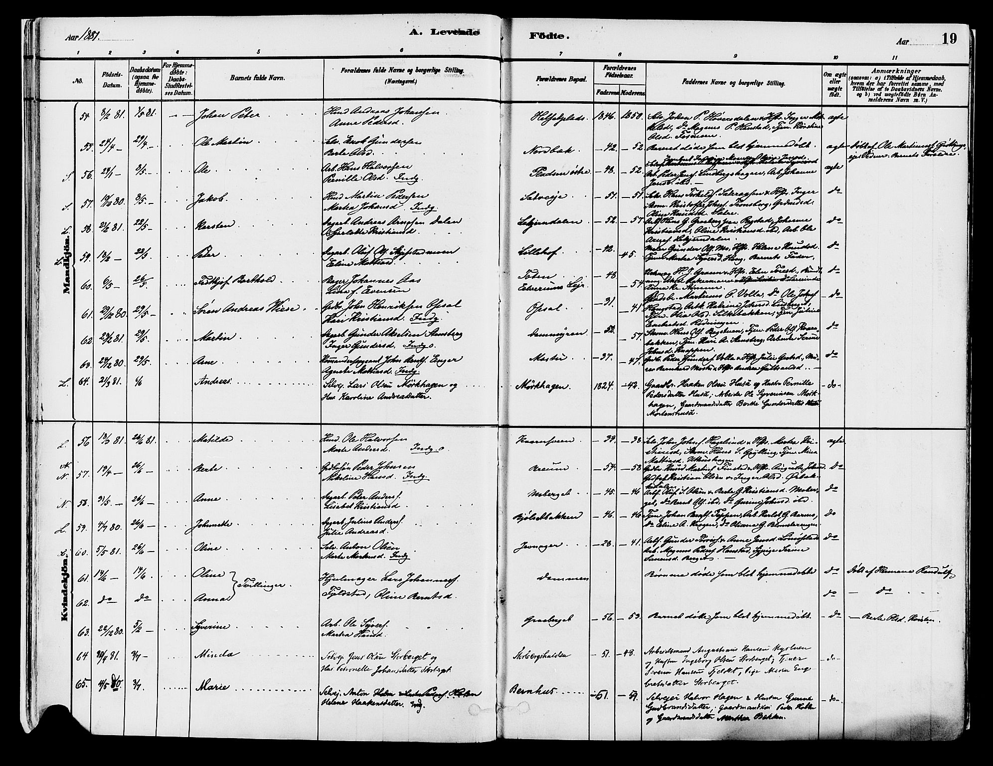 Elverum prestekontor, SAH/PREST-044/H/Ha/Haa/L0013: Parish register (official) no. 13, 1880-1890, p. 19