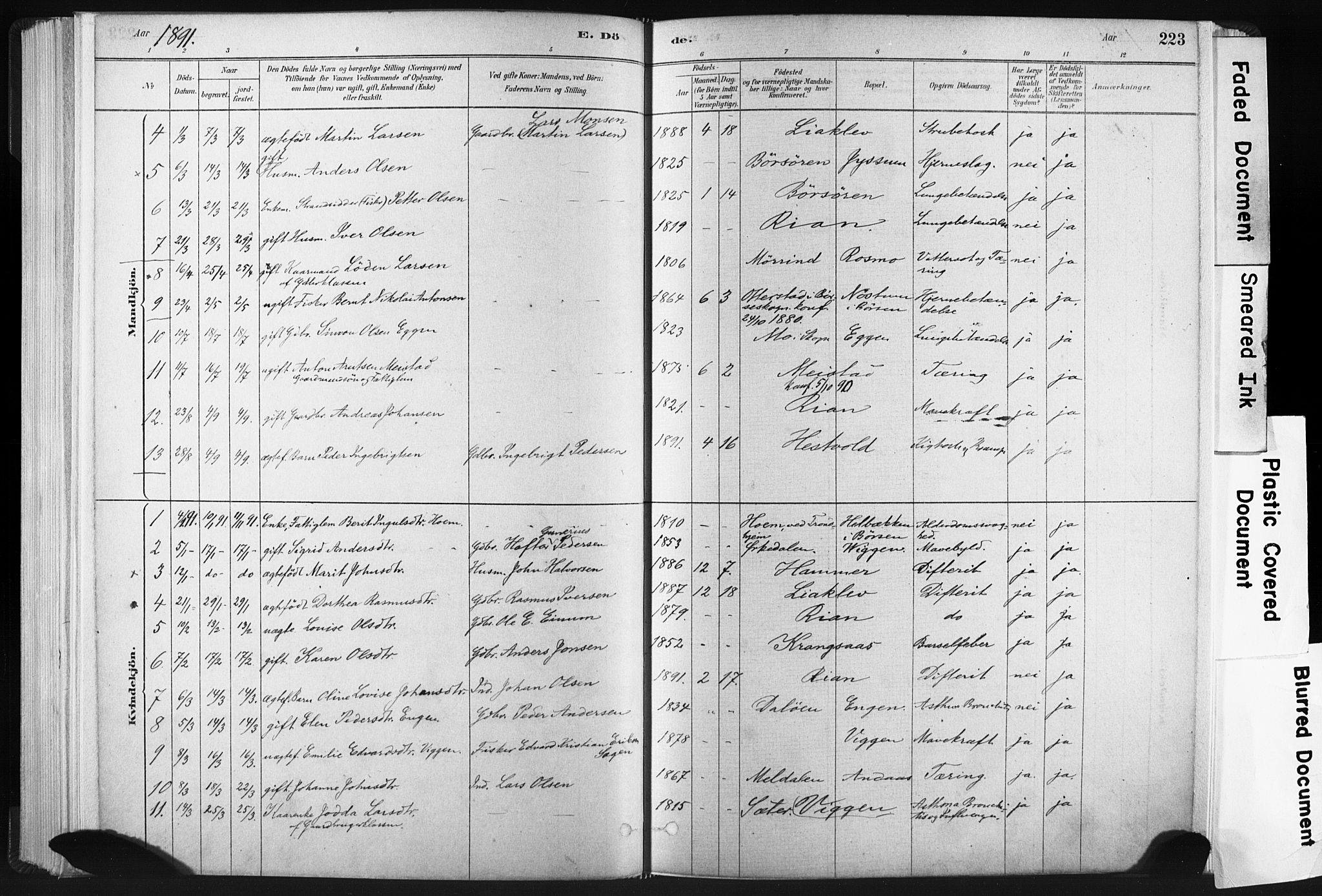 Ministerialprotokoller, klokkerbøker og fødselsregistre - Sør-Trøndelag, SAT/A-1456/665/L0773: Parish register (official) no. 665A08, 1879-1905, p. 223