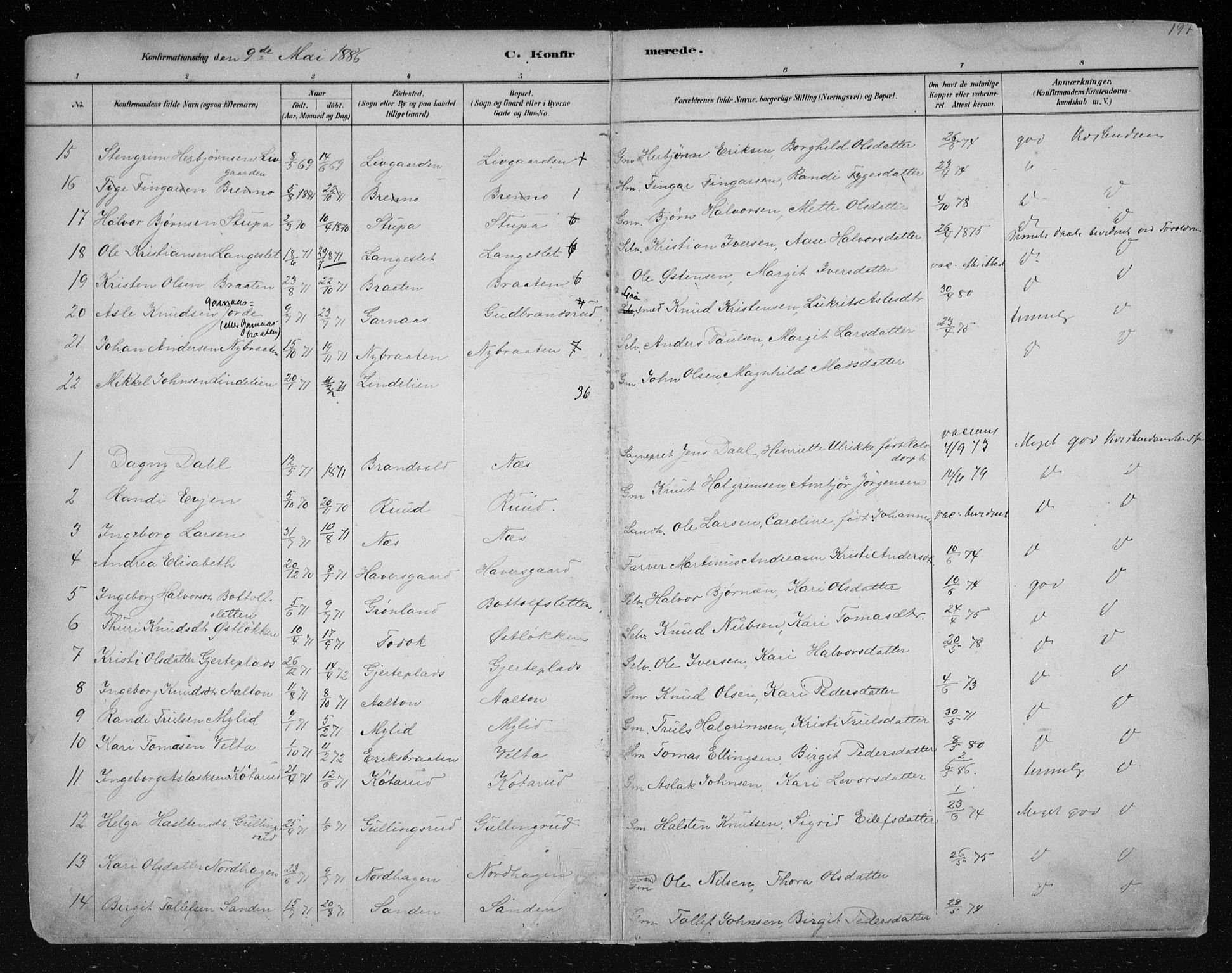 Nes kirkebøker, AV/SAKO-A-236/F/Fa/L0011: Parish register (official) no. 11, 1881-1912, p. 197