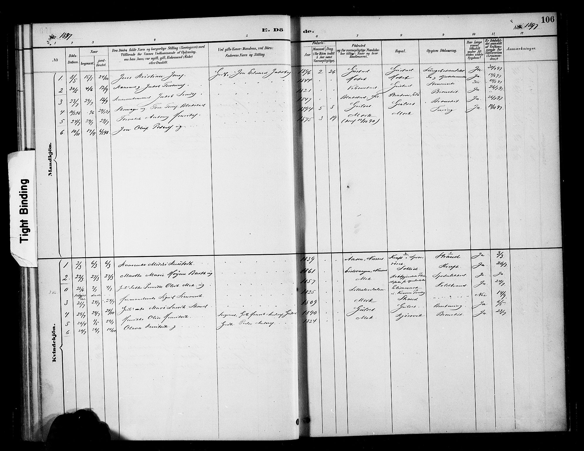 Ministerialprotokoller, klokkerbøker og fødselsregistre - Møre og Romsdal, SAT/A-1454/568/L0809: Parish register (official) no. 568A13, 1884-1900, p. 106