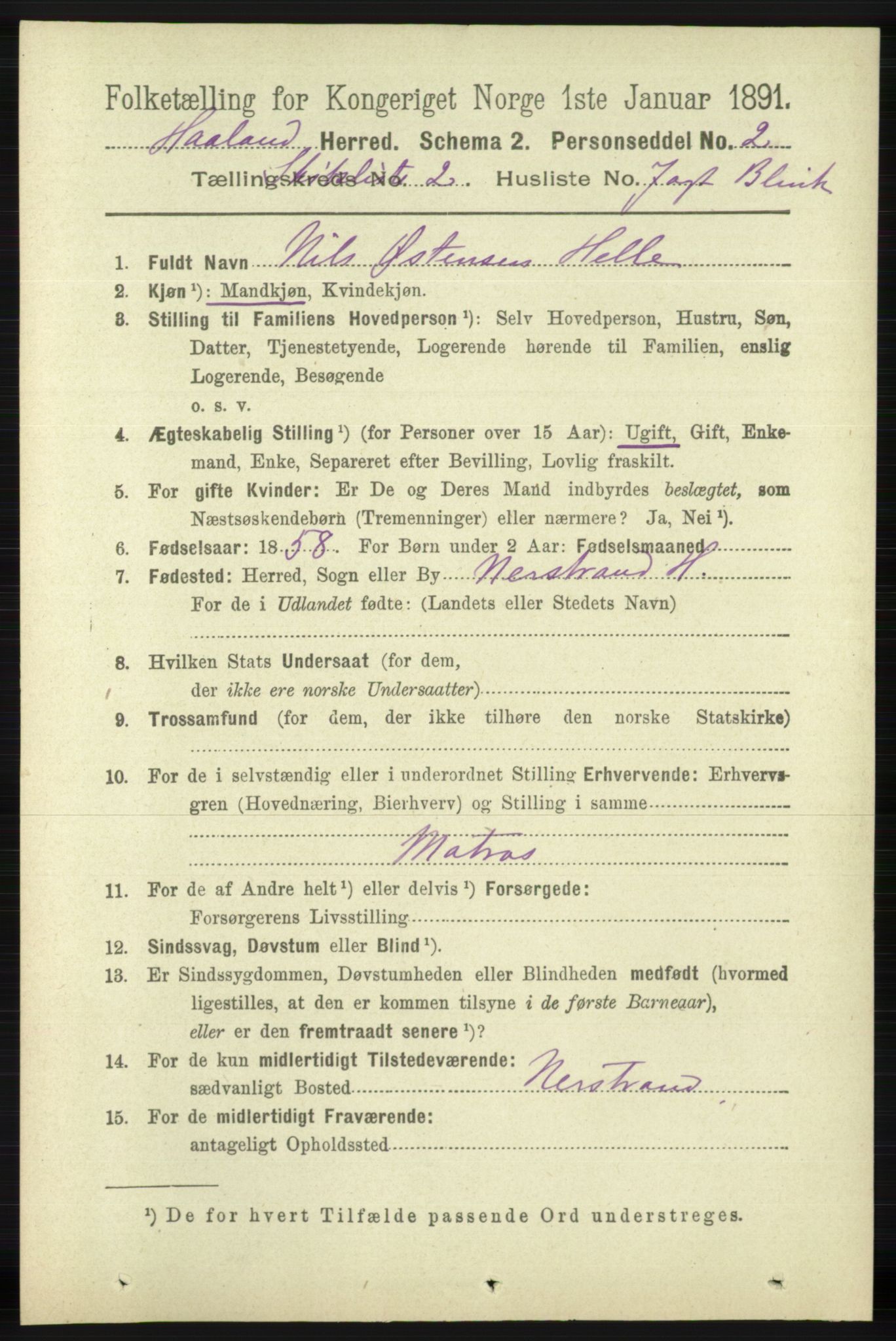 RA, 1891 census for 1124 Haaland, 1891, p. 4090