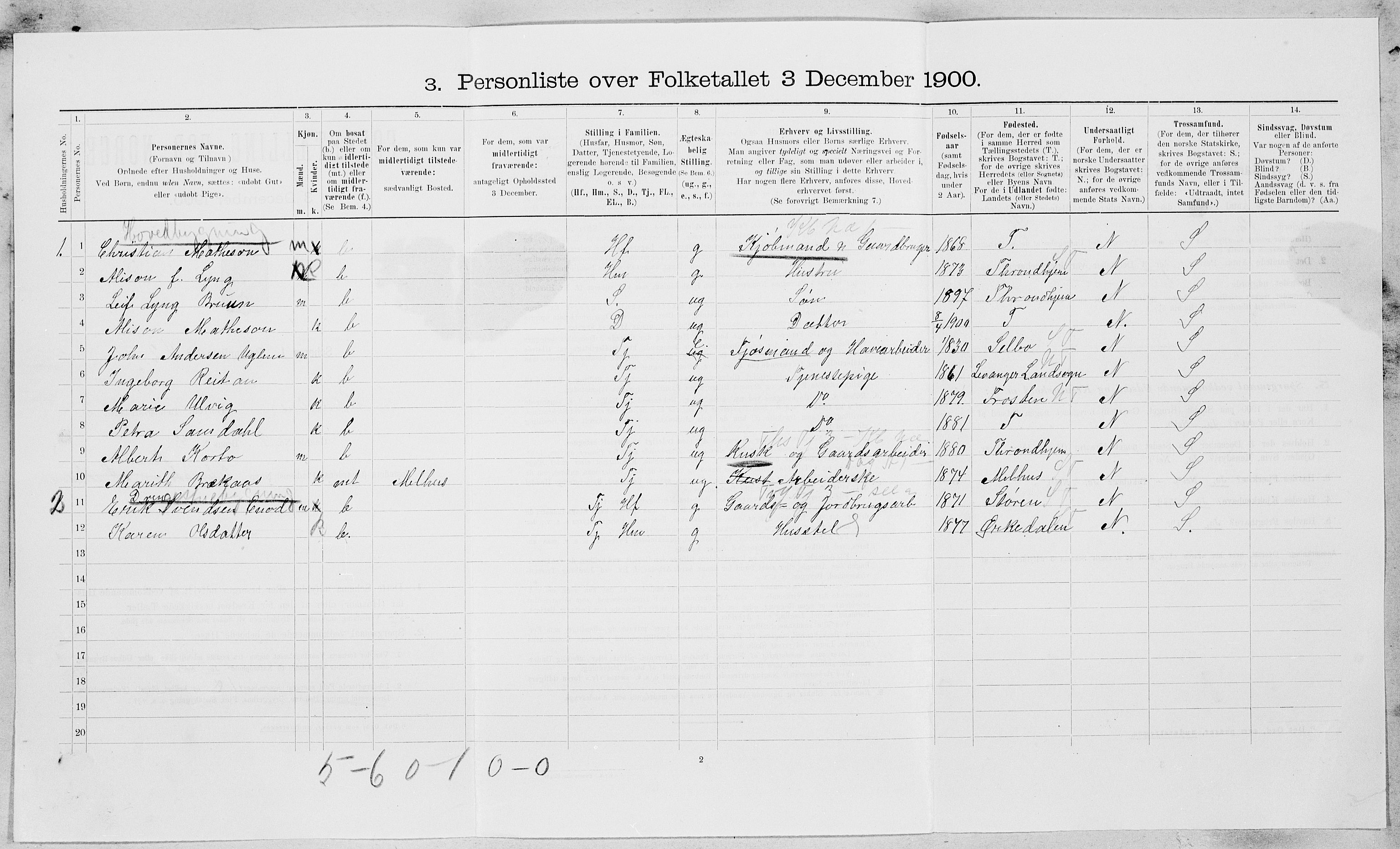 SAT, 1900 census for Strinda, 1900, p. 412