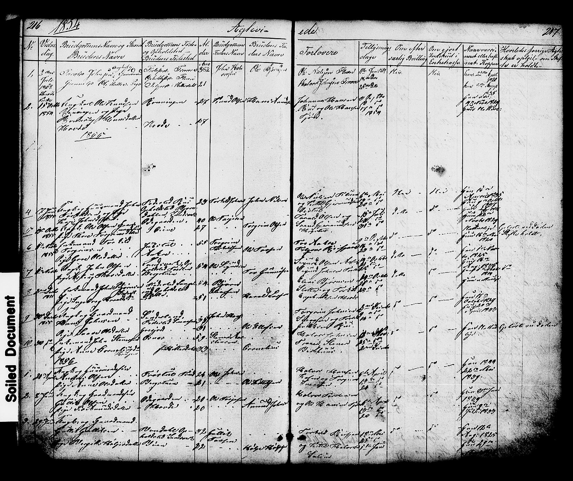 Hjartdal kirkebøker, SAKO/A-270/G/Gc/L0002: Parish register (copy) no. III 2, 1854-1890, p. 216-217