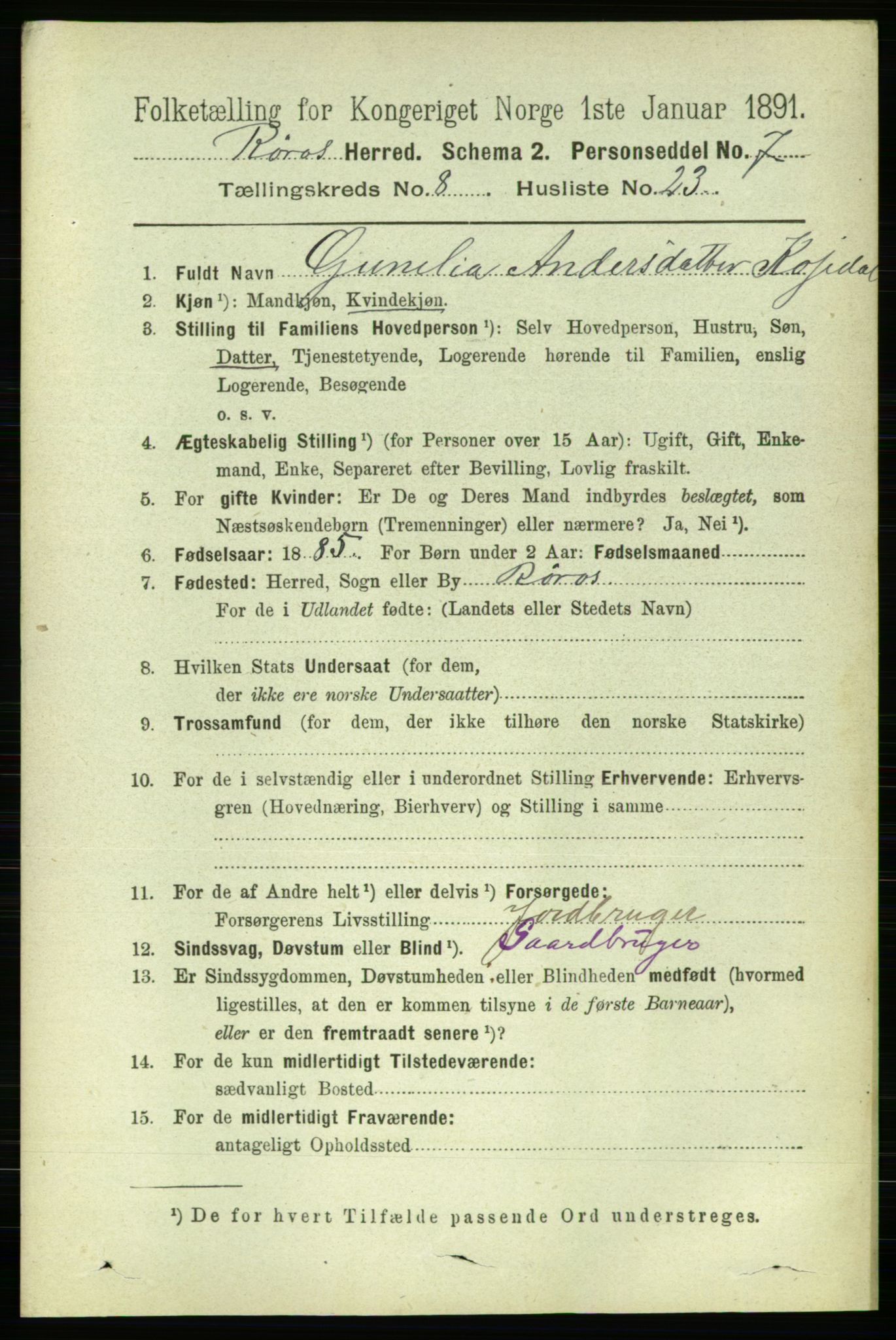 RA, 1891 census for 1640 Røros, 1891, p. 1771