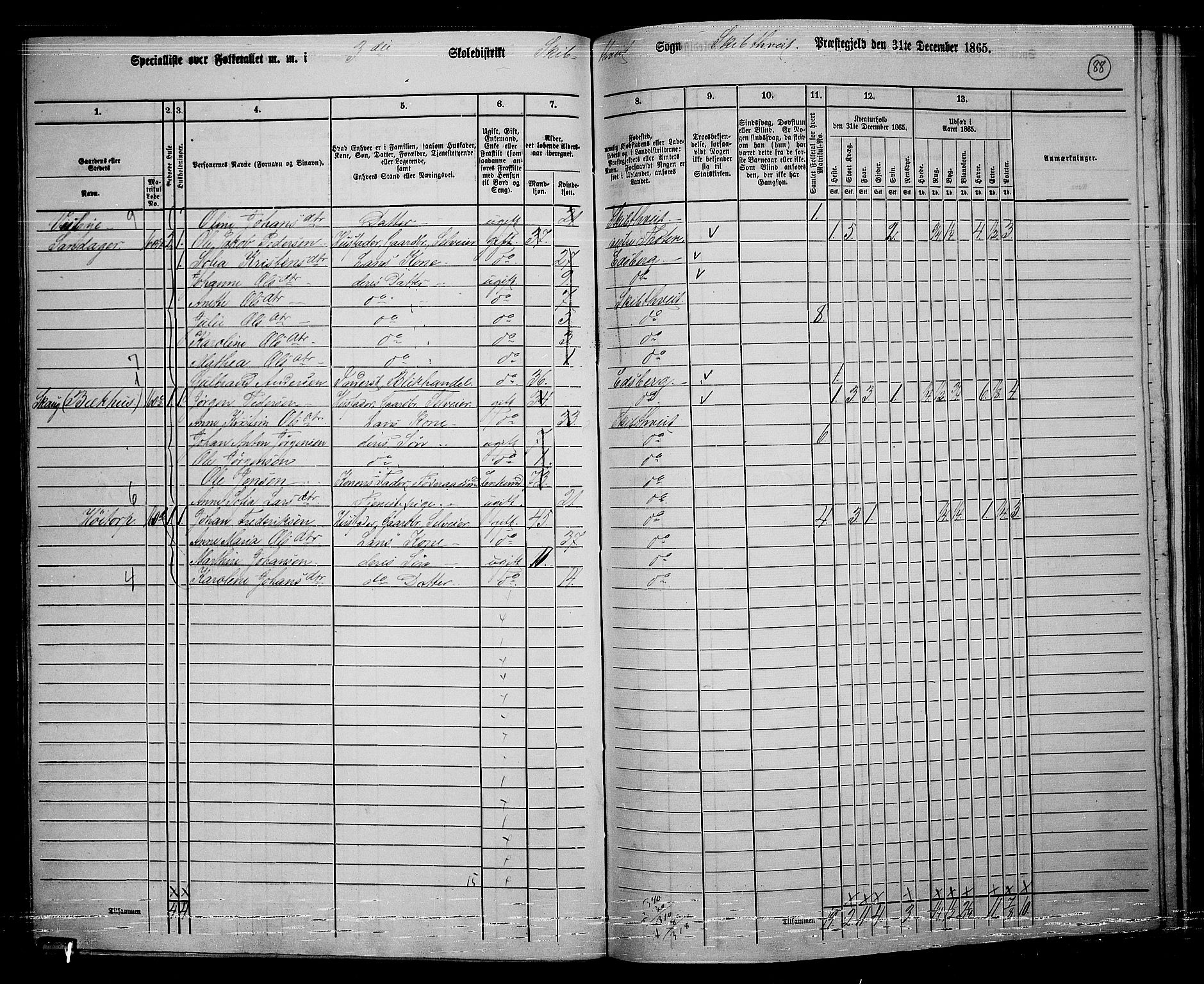 RA, 1865 census for Skiptvet, 1865, p. 79