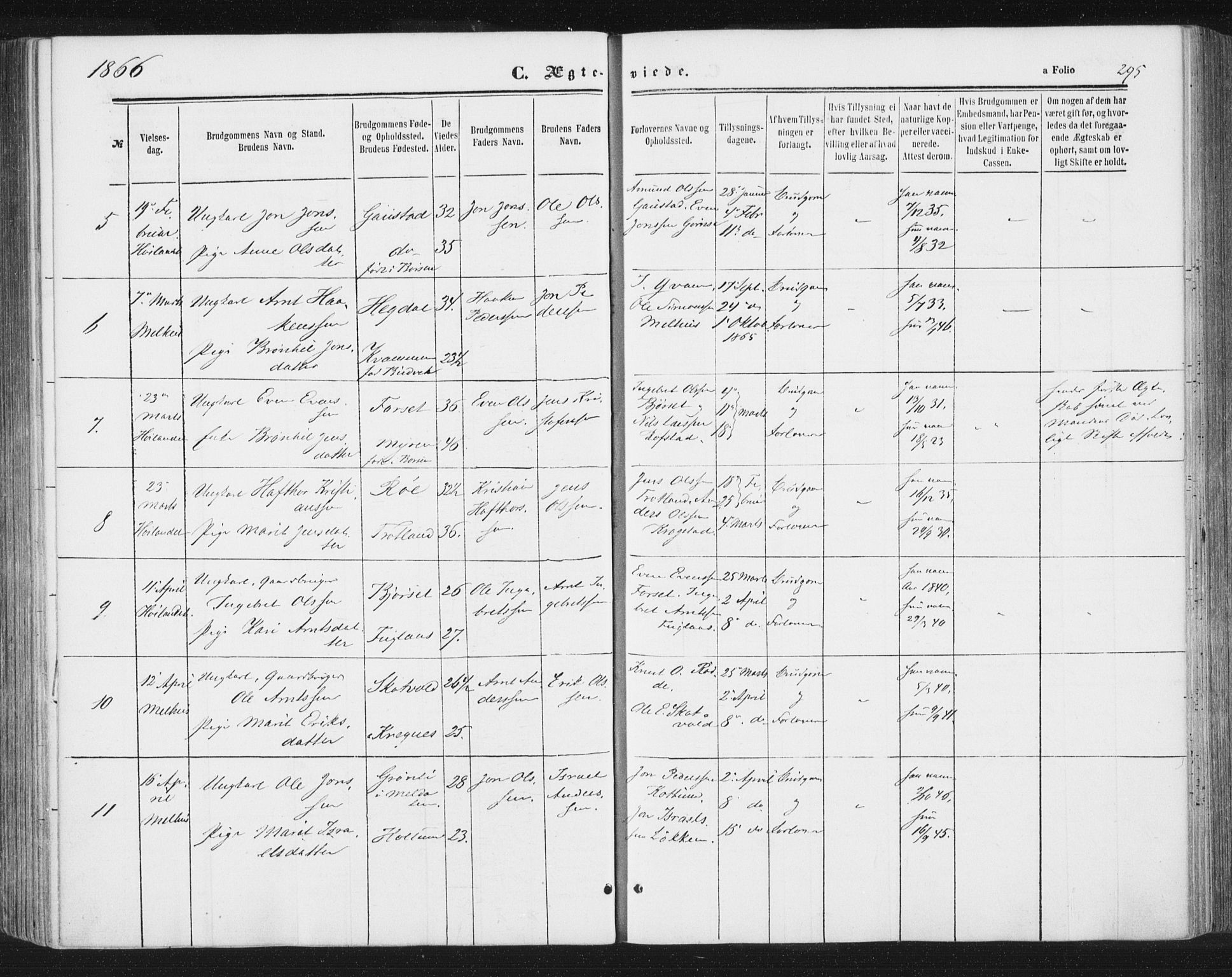 Ministerialprotokoller, klokkerbøker og fødselsregistre - Sør-Trøndelag, SAT/A-1456/691/L1077: Parish register (official) no. 691A09, 1862-1873, p. 295