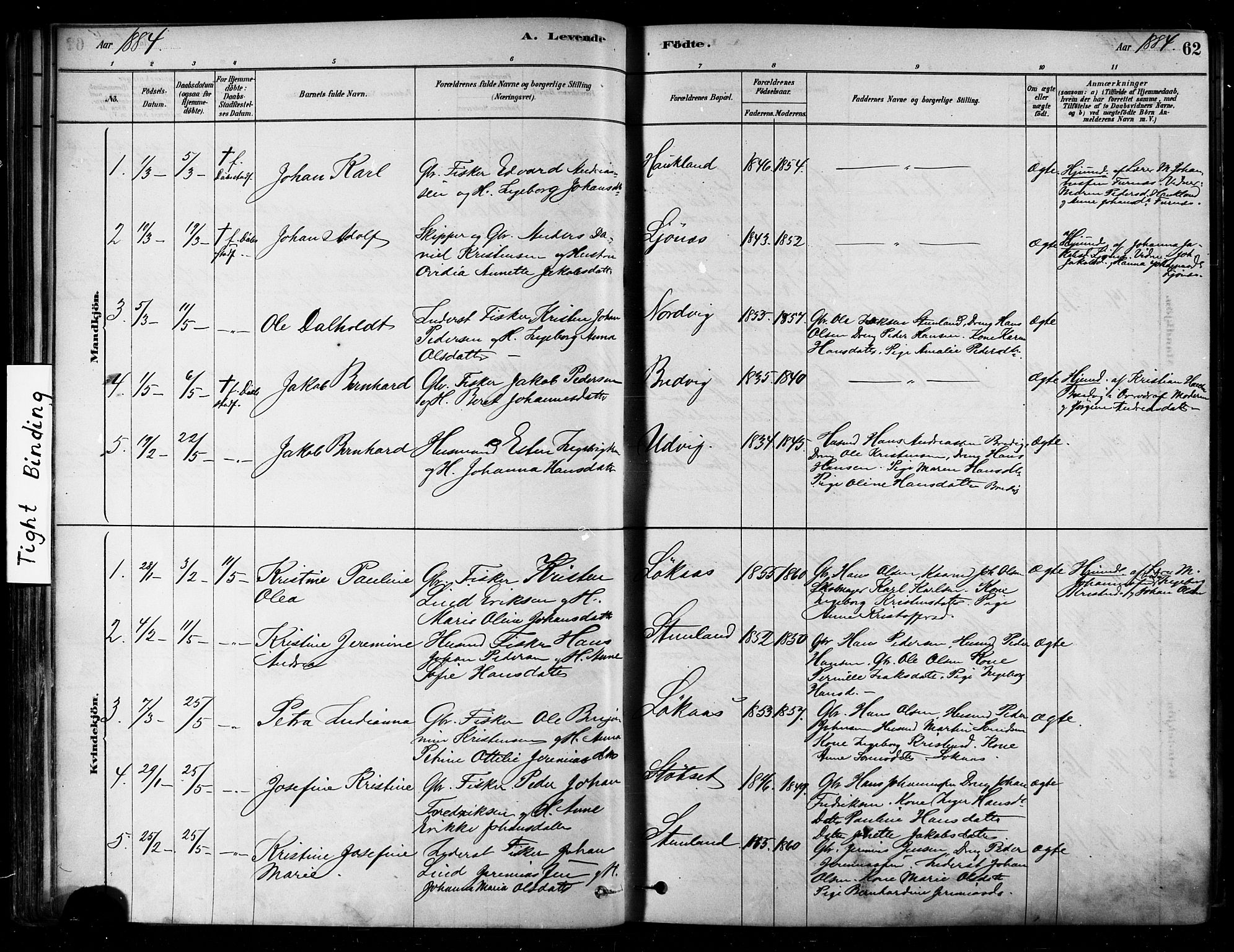 Ministerialprotokoller, klokkerbøker og fødselsregistre - Nordland, SAT/A-1459/852/L0740: Parish register (official) no. 852A10, 1878-1894, p. 62