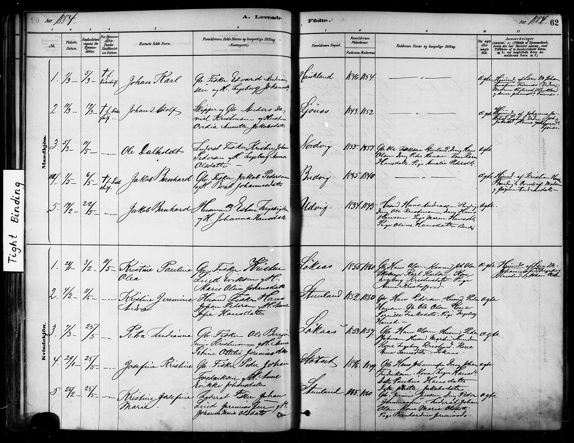 Ministerialprotokoller, klokkerbøker og fødselsregistre - Nordland, AV/SAT-A-1459/852/L0740: Parish register (official) no. 852A10, 1878-1894, p. 62