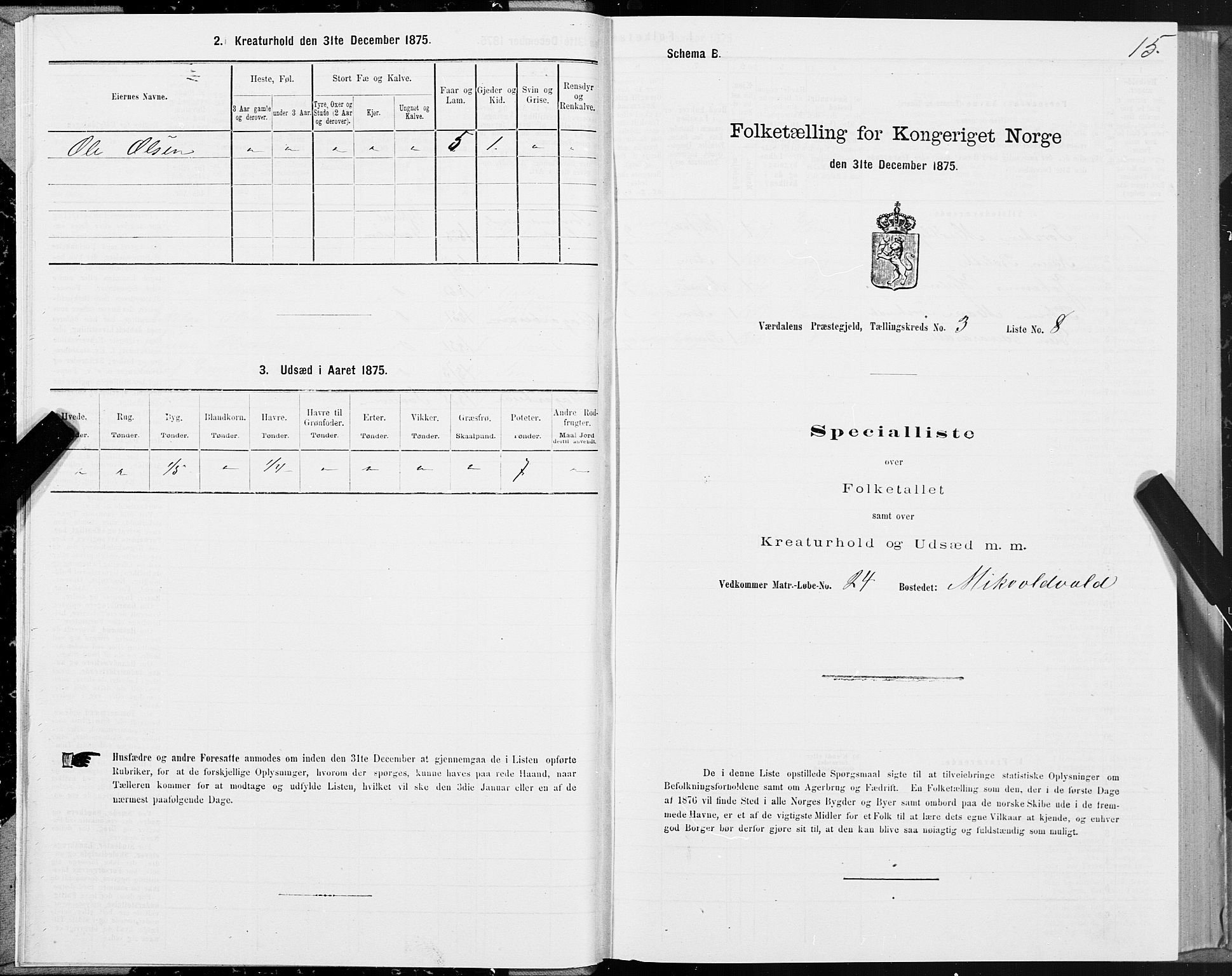 SAT, 1875 census for 1721P Verdal, 1875, p. 2015
