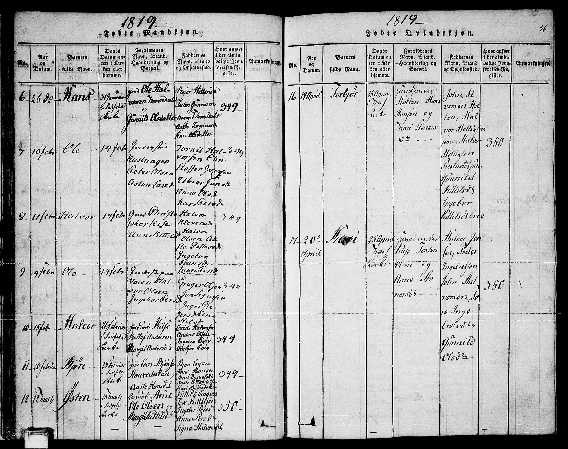 Sauherad kirkebøker, SAKO/A-298/F/Fa/L0005: Parish register (official) no. I 5, 1815-1829, p. 36