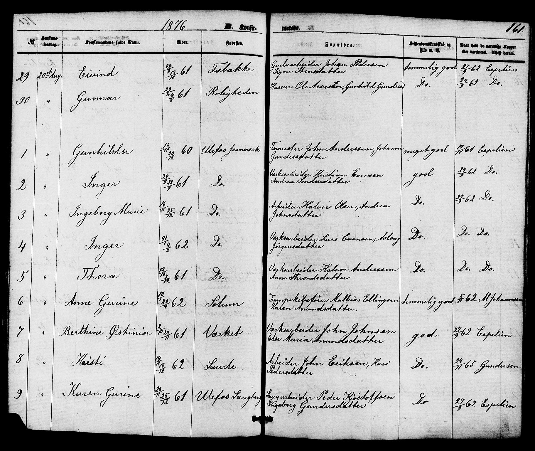 Holla kirkebøker, SAKO/A-272/F/Fa/L0007: Parish register (official) no. 7, 1869-1881, p. 161