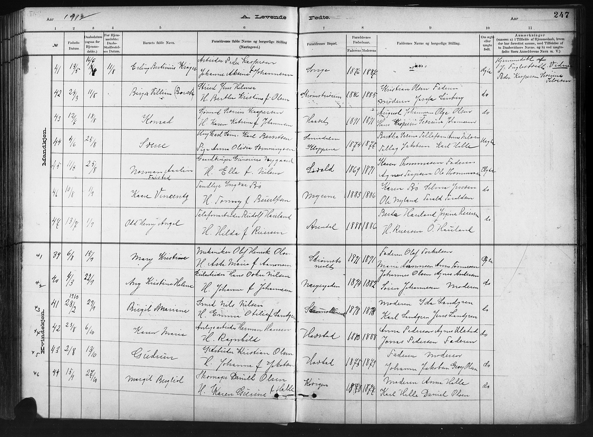 Barbu sokneprestkontor, AV/SAK-1111-0003/F/Fb/L0002: Parish register (copy) no. B 2, 1890-1922, p. 247