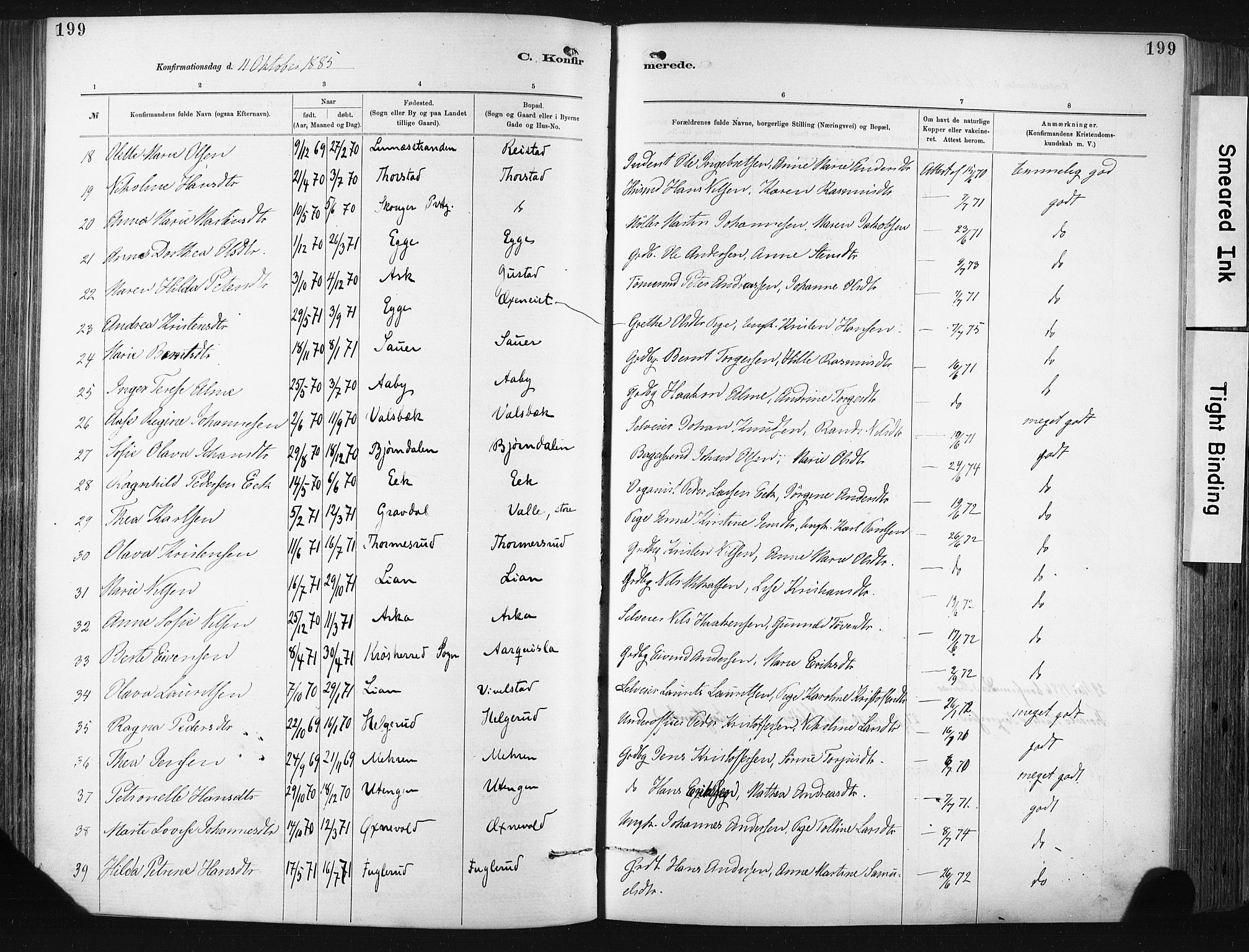 Lier kirkebøker, SAKO/A-230/F/Fa/L0015: Parish register (official) no. I 15, 1883-1894, p. 199