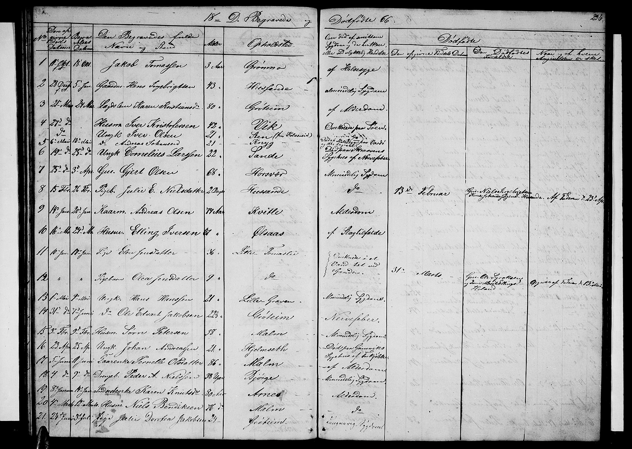 Ministerialprotokoller, klokkerbøker og fødselsregistre - Nordland, SAT/A-1459/812/L0187: Parish register (copy) no. 812C05, 1850-1883, p. 236