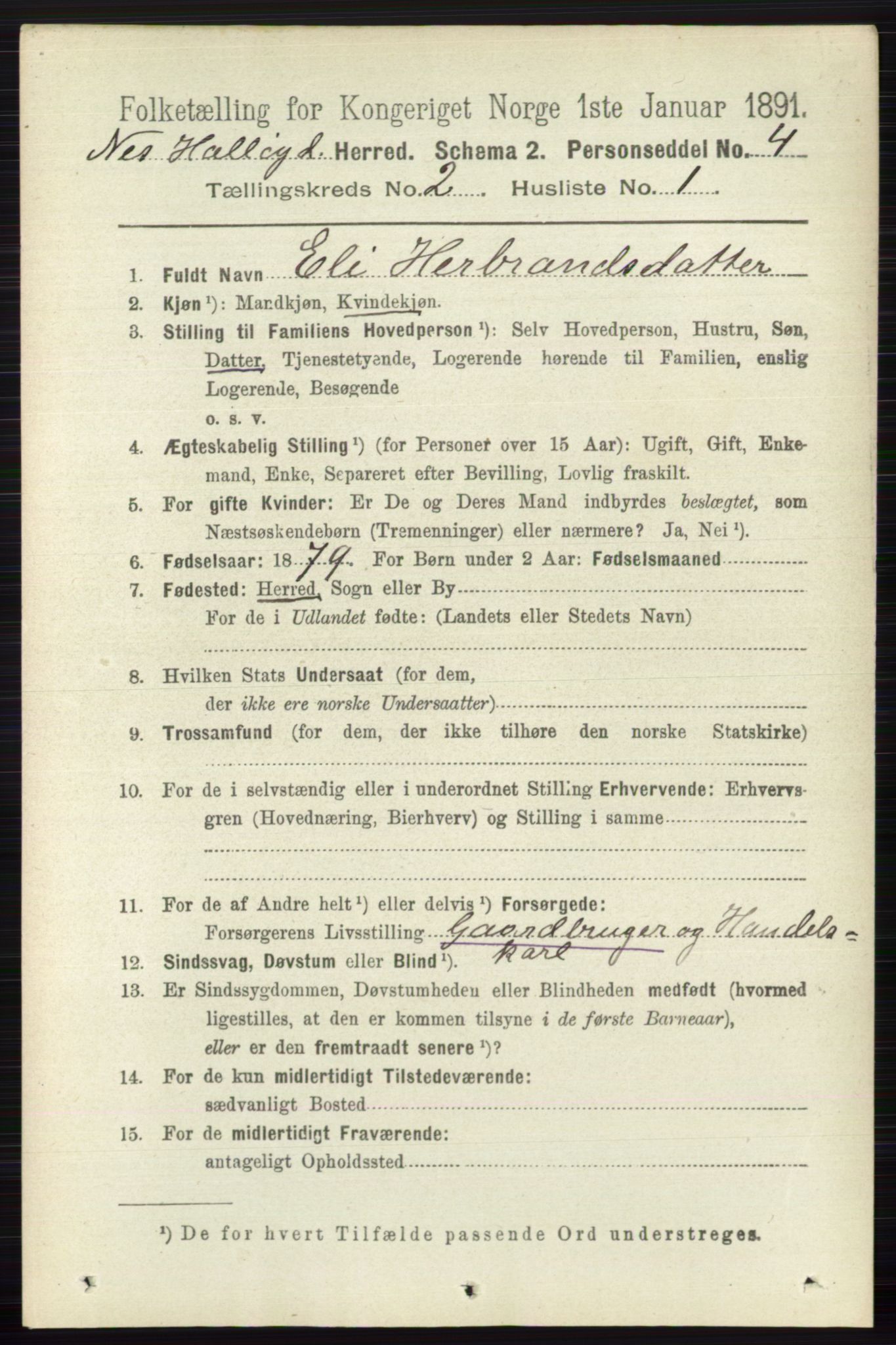 RA, 1891 census for 0616 Nes, 1891, p. 994