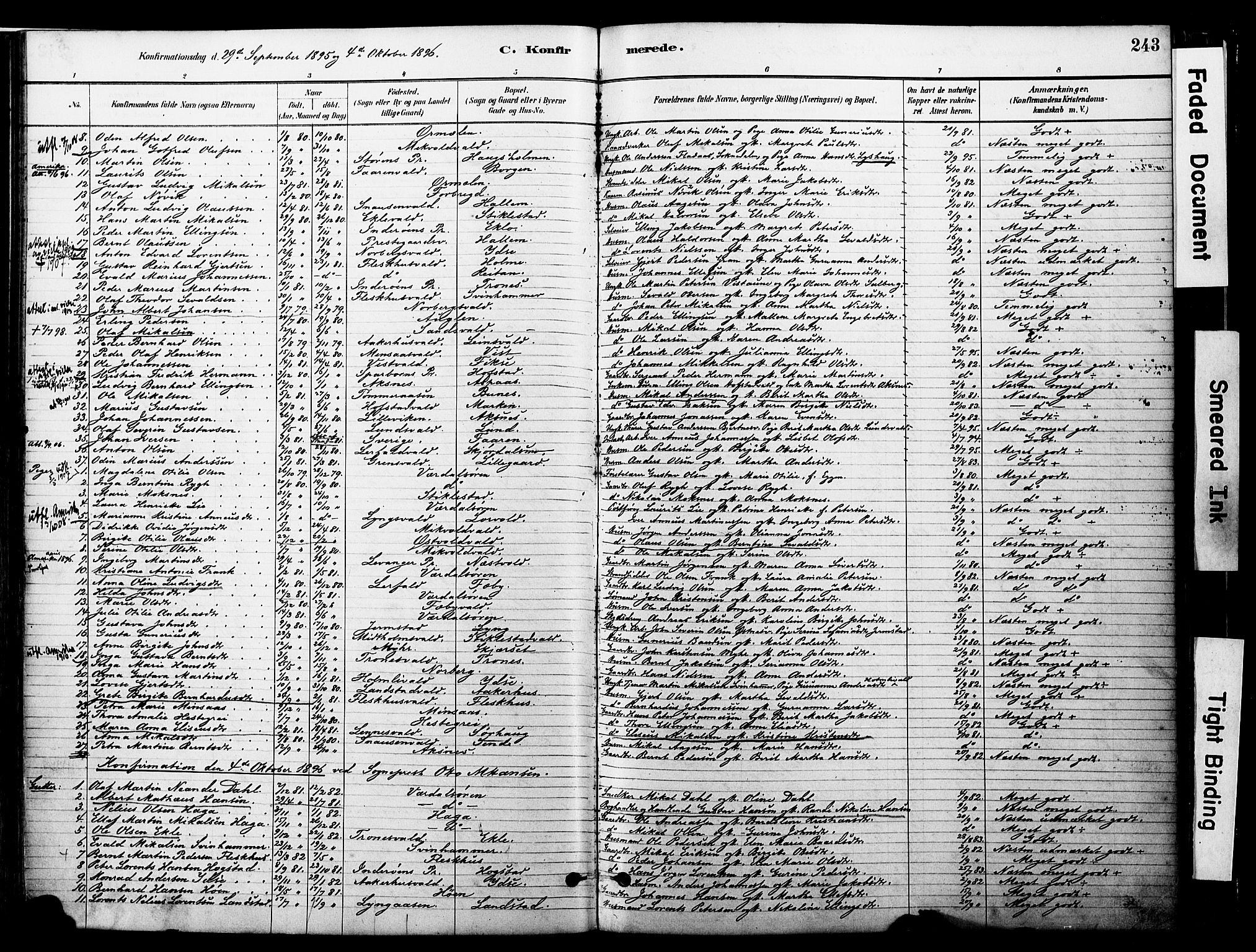 Ministerialprotokoller, klokkerbøker og fødselsregistre - Nord-Trøndelag, SAT/A-1458/723/L0244: Parish register (official) no. 723A13, 1881-1899, p. 243