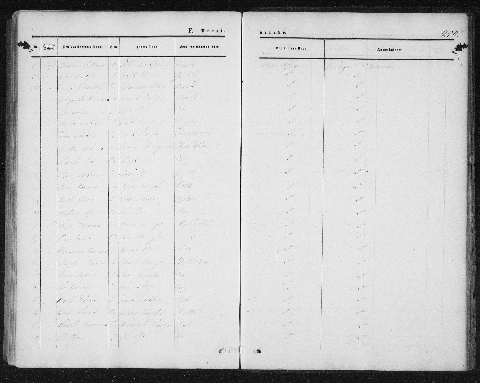 Ministerialprotokoller, klokkerbøker og fødselsregistre - Møre og Romsdal, AV/SAT-A-1454/543/L0562: Parish register (official) no. 543A02, 1854-1884, p. 250