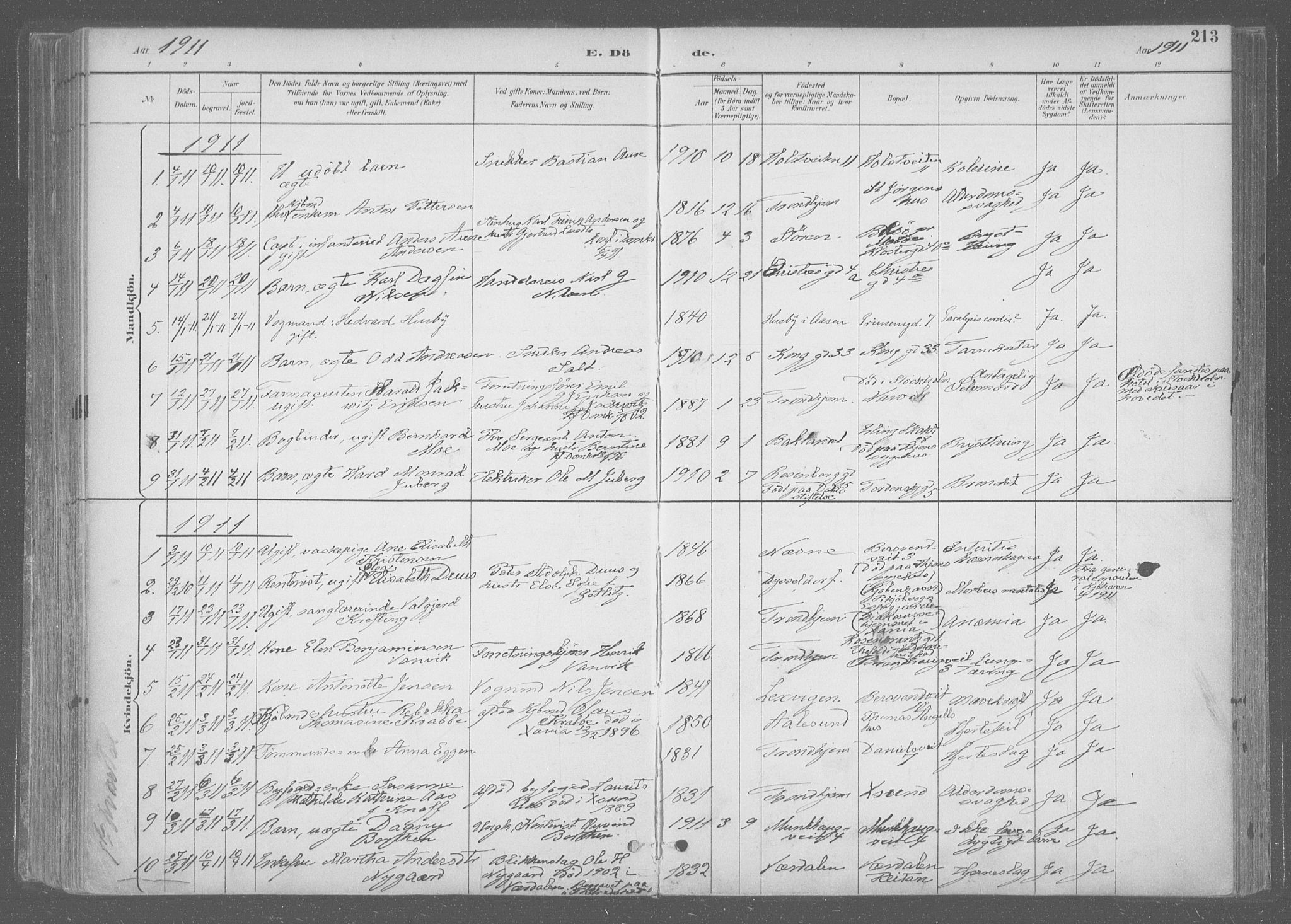 Ministerialprotokoller, klokkerbøker og fødselsregistre - Sør-Trøndelag, SAT/A-1456/601/L0064: Parish register (official) no. 601A31, 1891-1911, p. 213